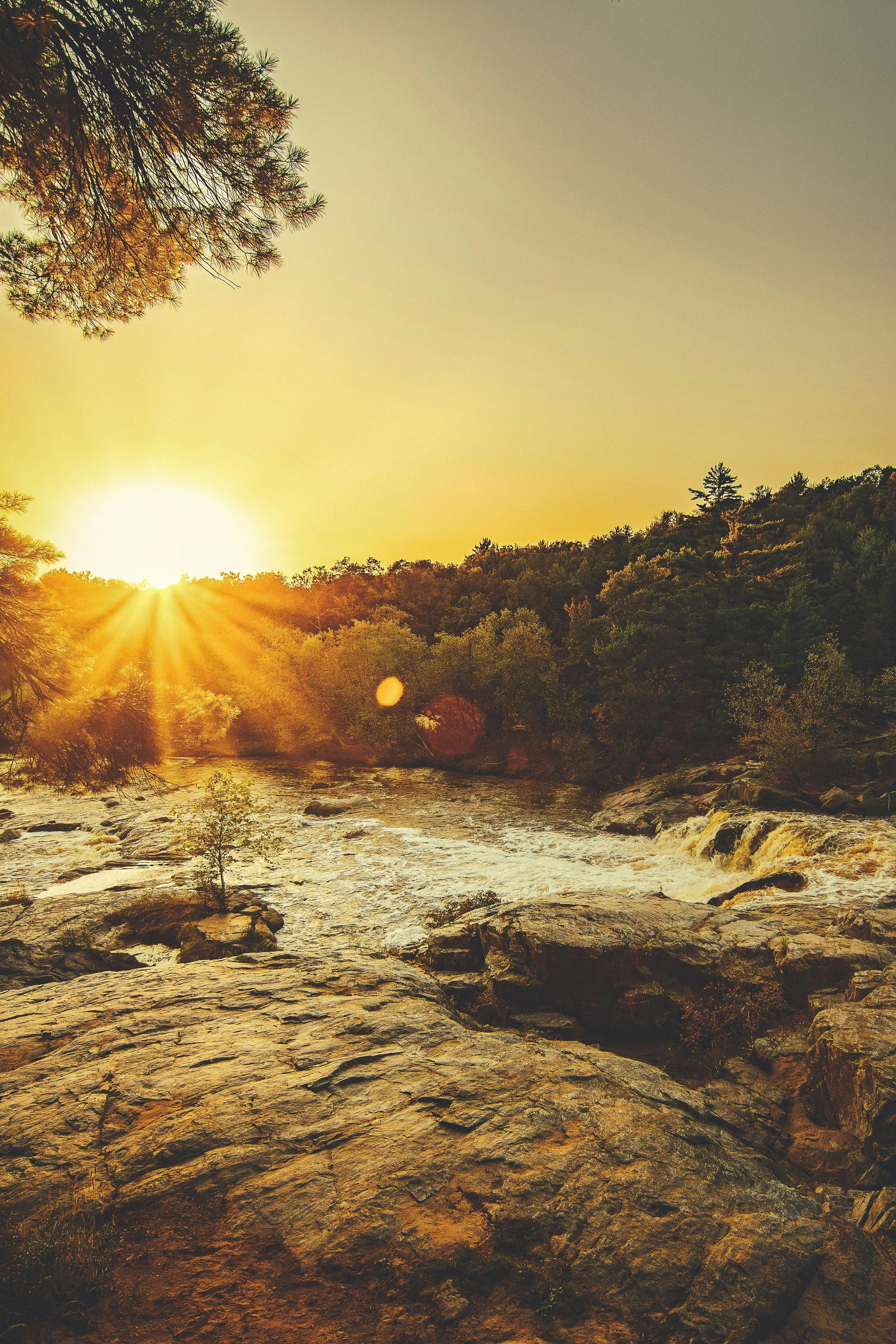 Sunset over a river with rocks and trees in a forested area.