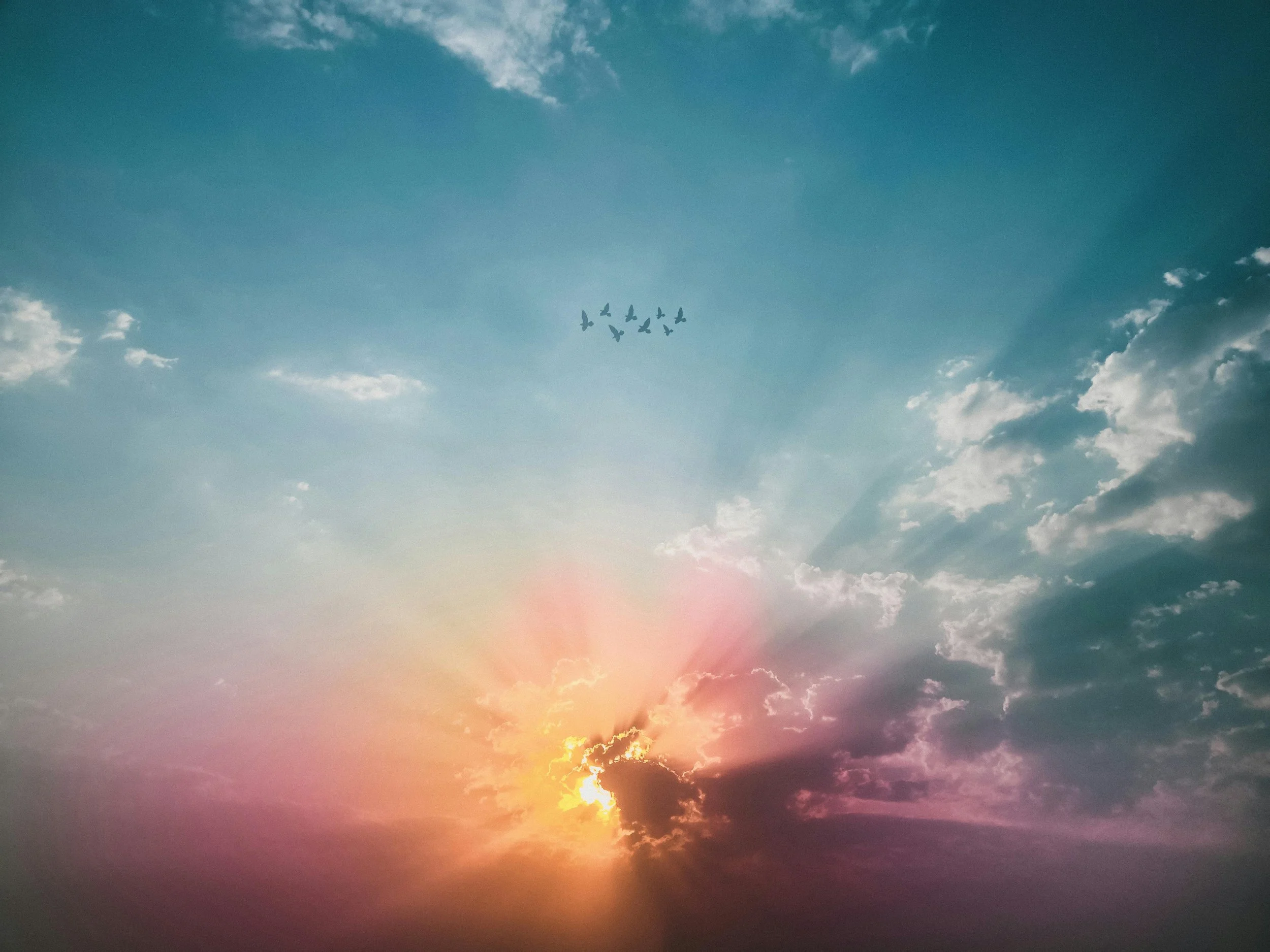 A sky with clouds and a flock of birds flying in a V formation during sunset.