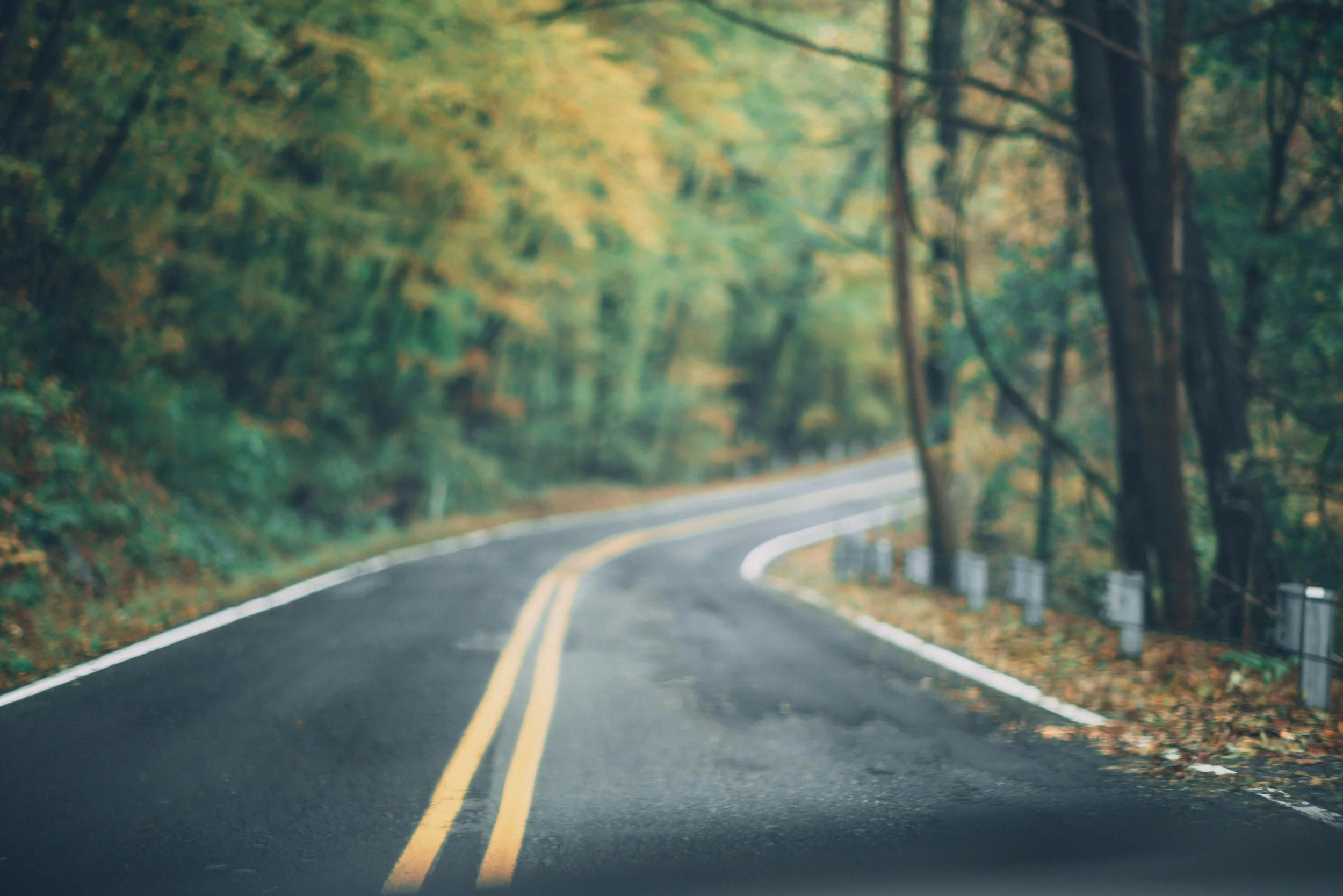 A winding two-lane road through a forest with green and yellow autumn foliage, guardrails on the right side, and a misty atmosphere.