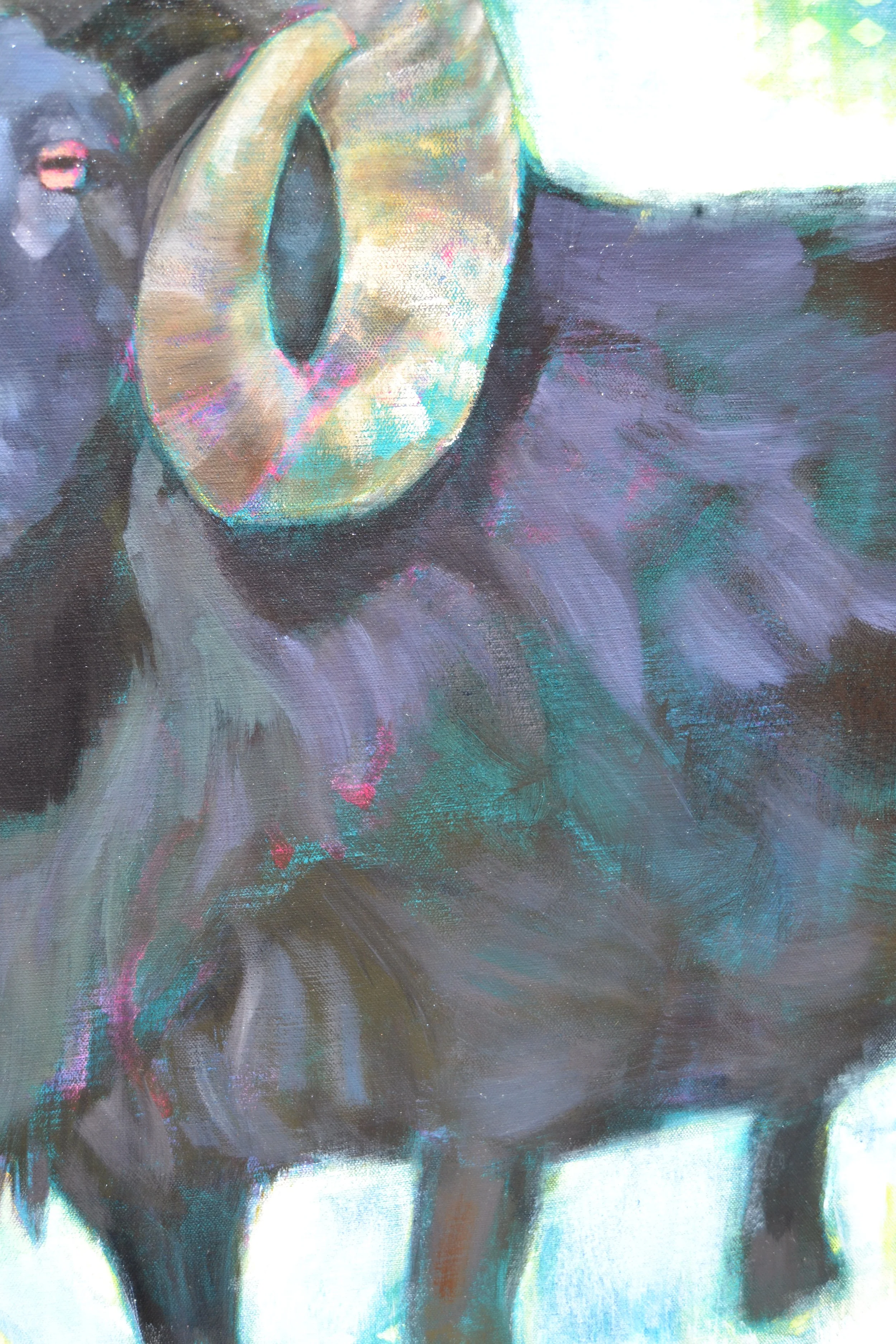 DSC_0127.JPG