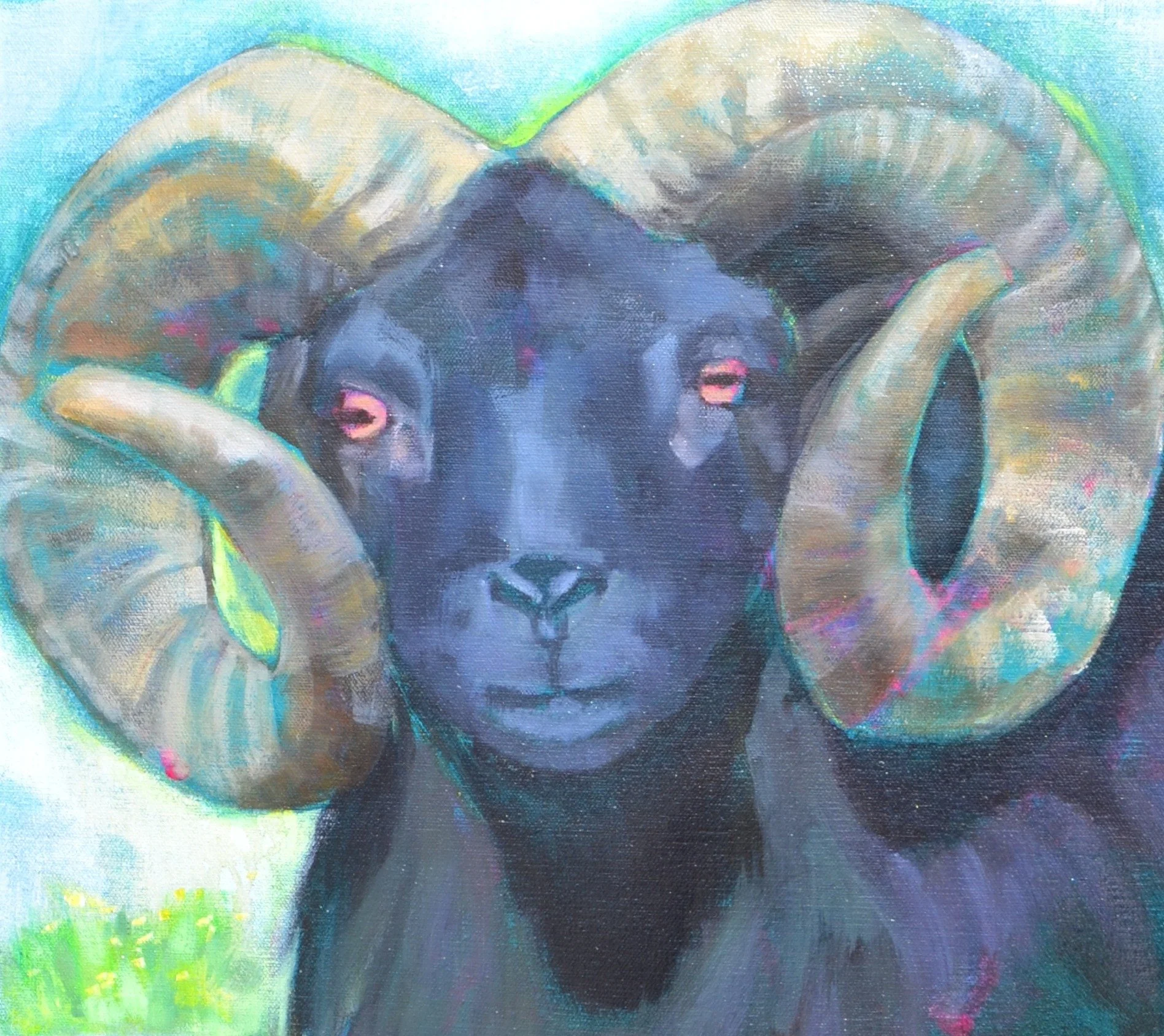 Friendly Face_Close up.JPG
