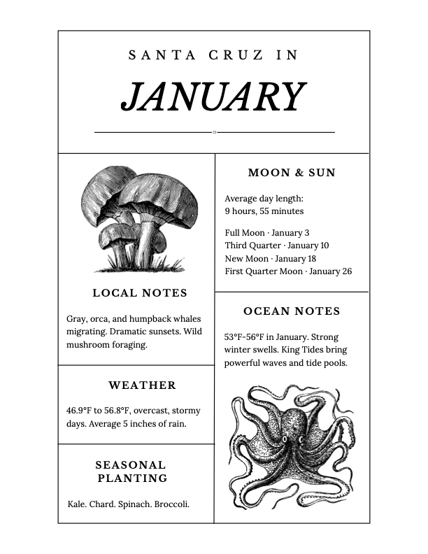 Santa Cruz Almanac website january.png