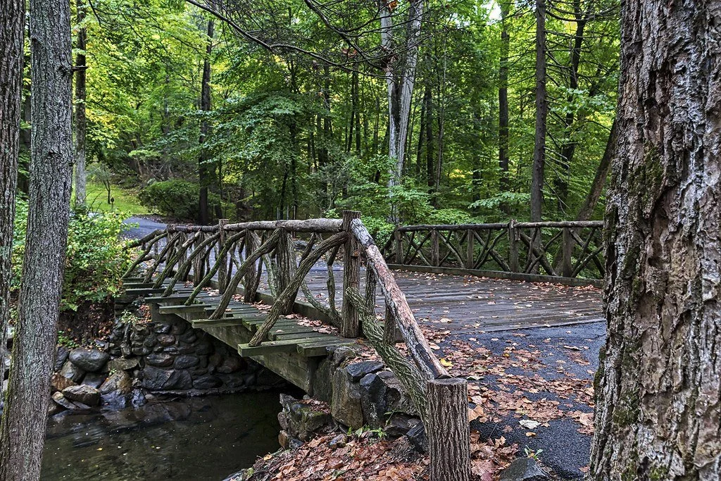 A small wooden bridge crossing over a stream in a green forest, with leaves scattered on the bridge and ground.
