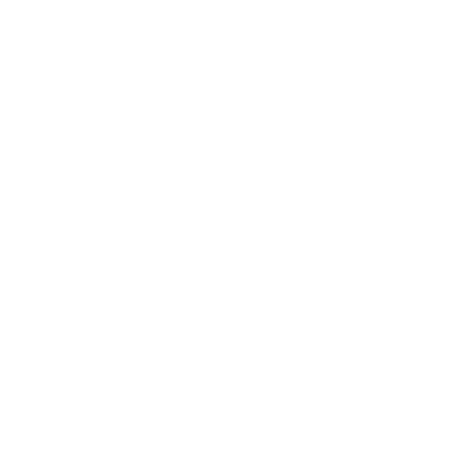 Black background with white text that reads 'The Slow Down' in large font, with 'The' centered above and between two horizontal lines.