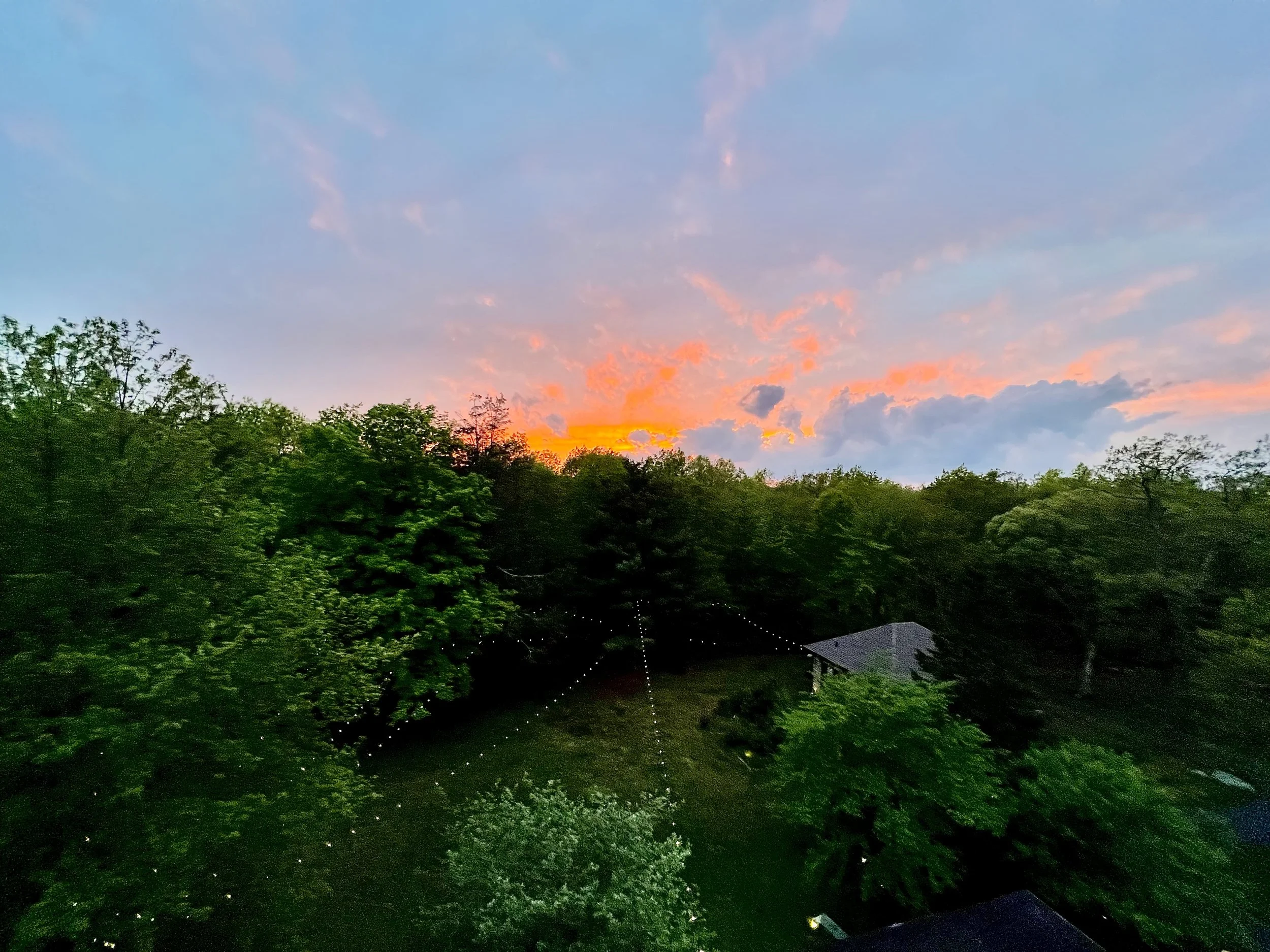 Sunset sky with clouds over a dense green forest, some visible houses, and string lights hanging among the trees.