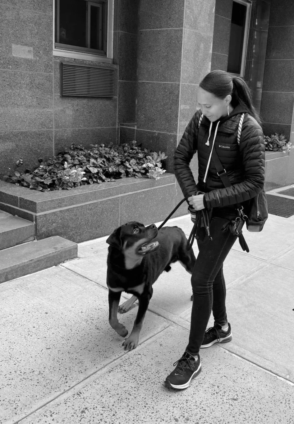 A young woman with a ponytail, wearing a hoodie and a quilted jacket, stands on a city sidewalk holding a leash attached to a black and brown dog. They are near a building with stone walls and a small window, and a flower bed with leafy plants.