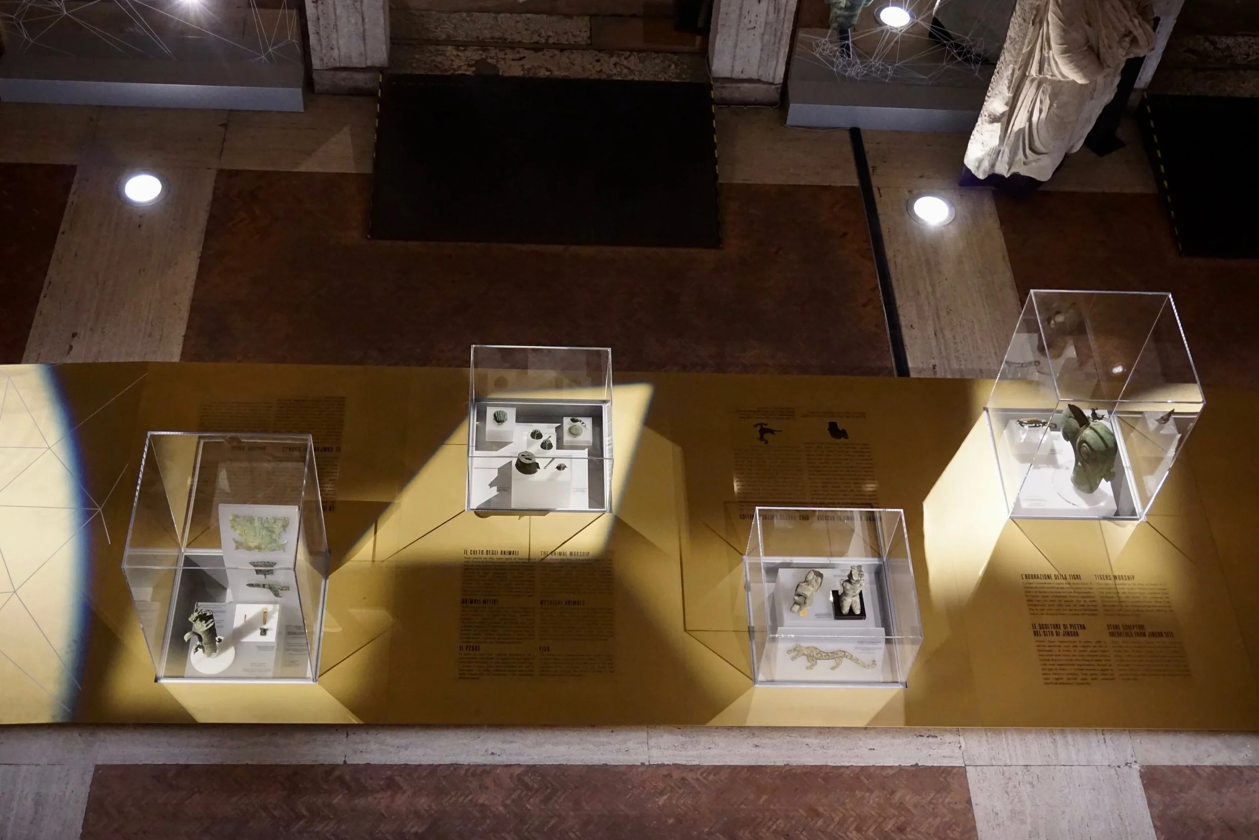 Display of ancient artifacts in glass cases at a museum, illuminated by spotlights