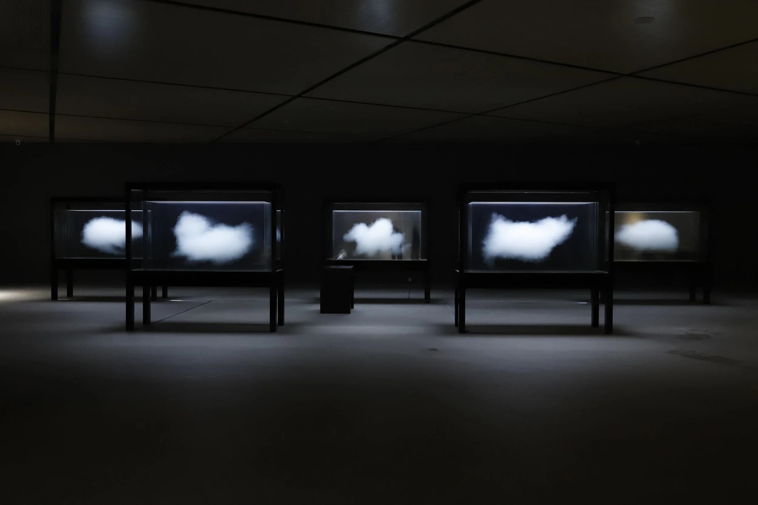 Exhibition of cloud-like objects displayed in glass cases in a dark room with dim lighting.