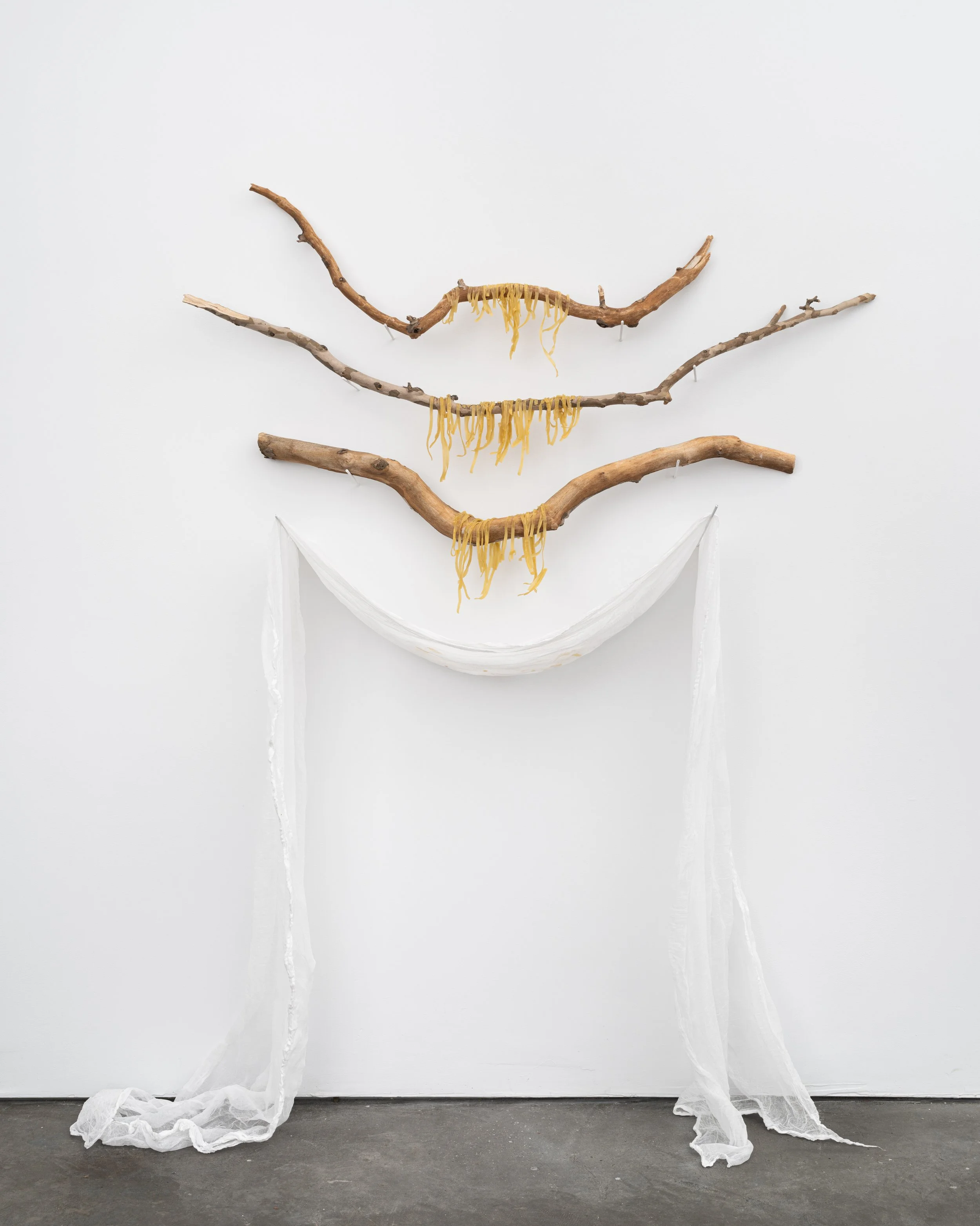 Sun-Dried