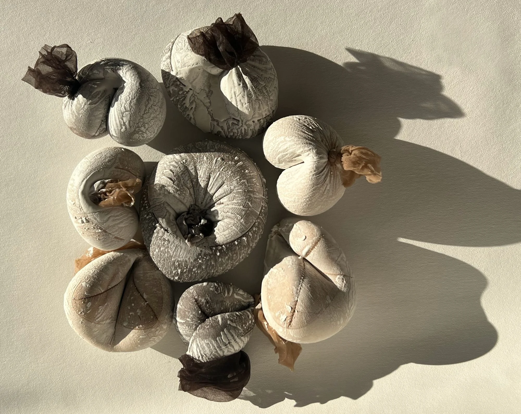 Anembryonic smaller file.jpg