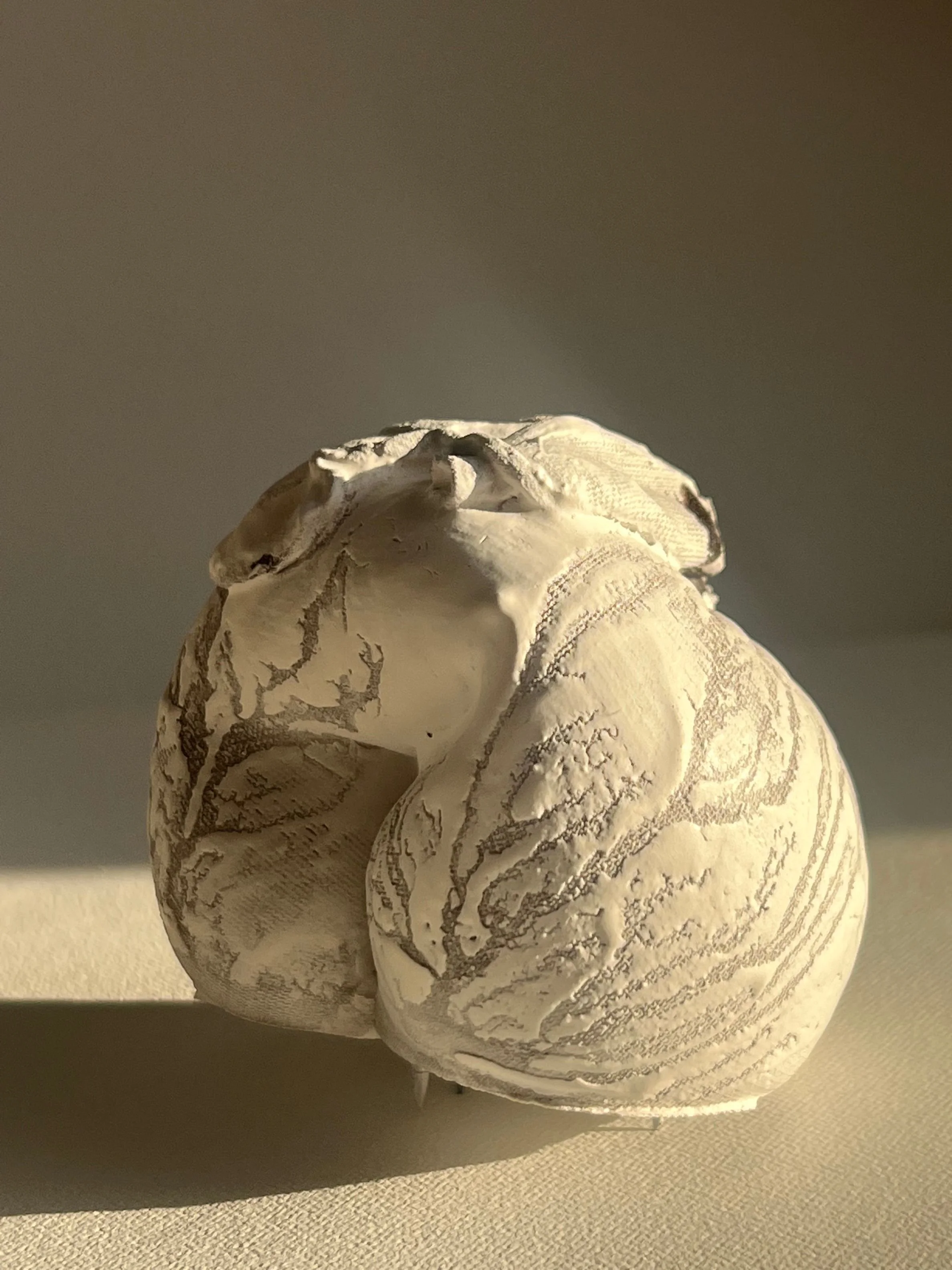 Stretch Marks Look Like Rivers 2.jpg