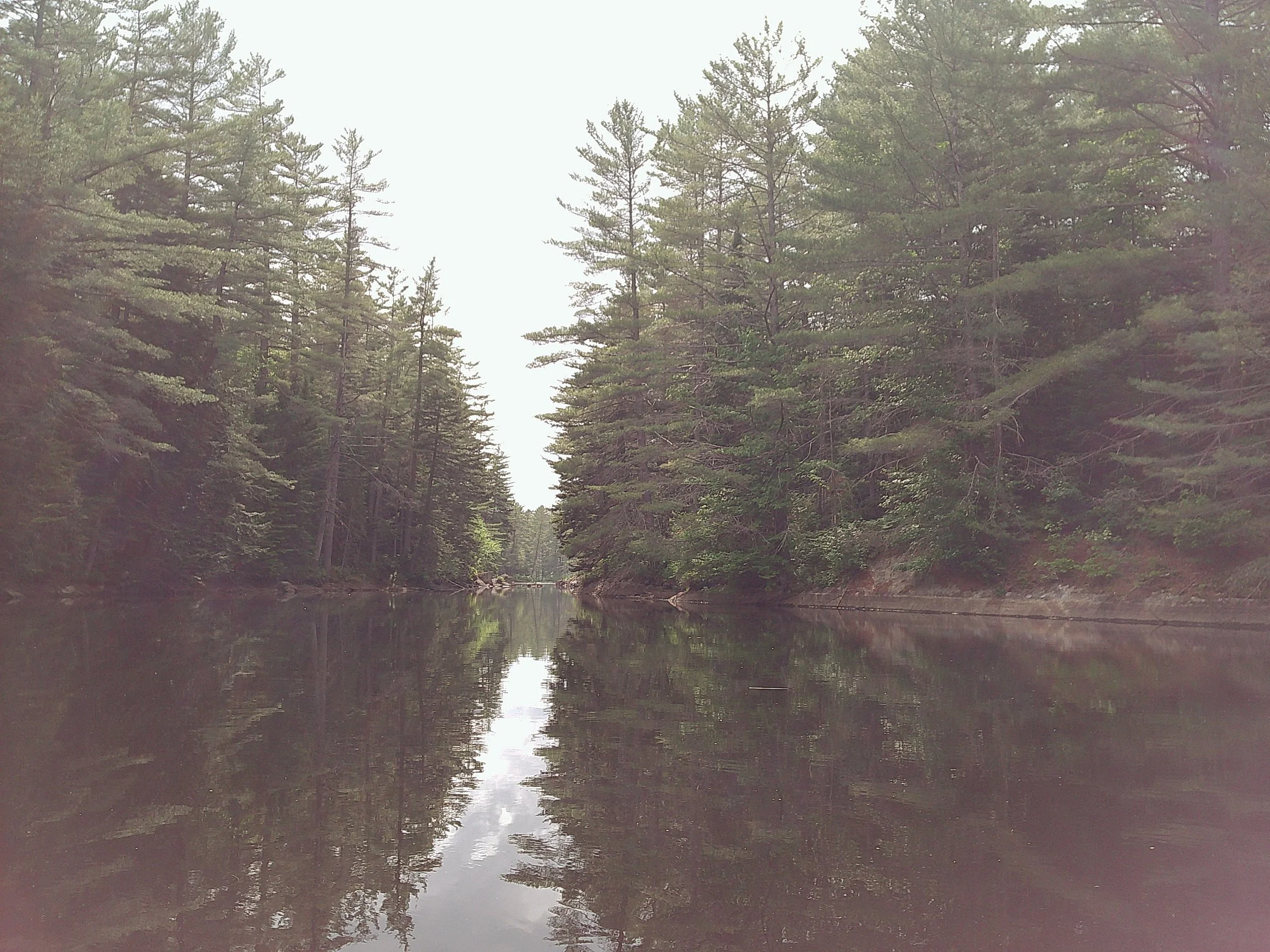 Four Humans Playing Music