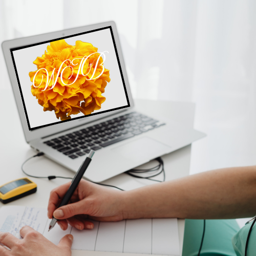 Parents Support Call