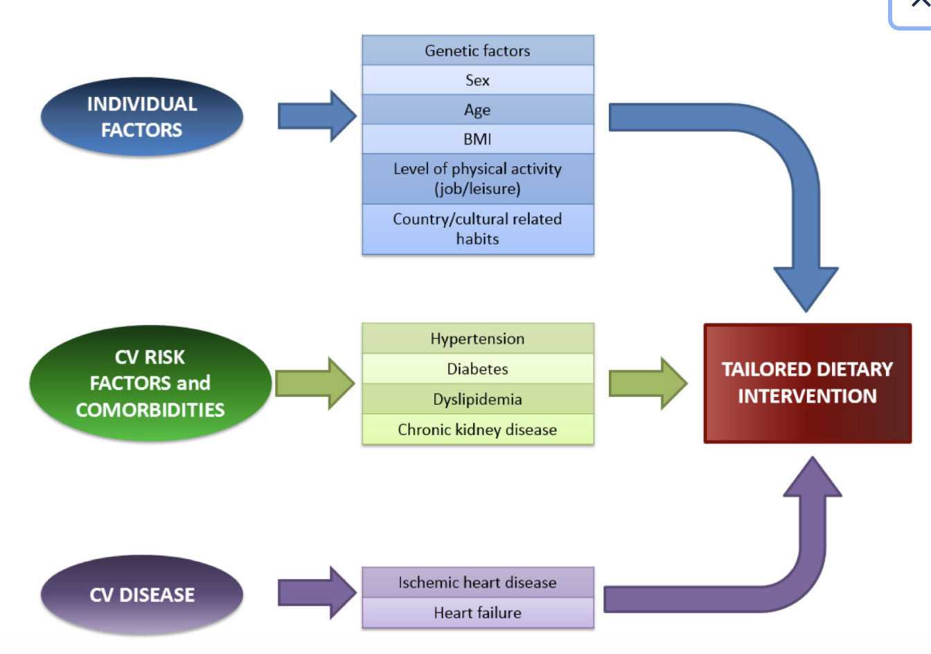 Flowchart showing factors influencing tailored dietary intervention. Blue box lists individual factors such as genetic factors, sex, age, BMI, physical activity level, and country or cultural habits. Green box lists cardiovascular risk factors and comorbidities like hypertension, diabetes, dyslipidemia, and chronic kidney disease. Purple box lists cardiovascular diseases like ischemic heart disease and heart failure. Arrows connect these factors to a red box labeled 'Tailored Dietary Intervention,' indicating their influence.