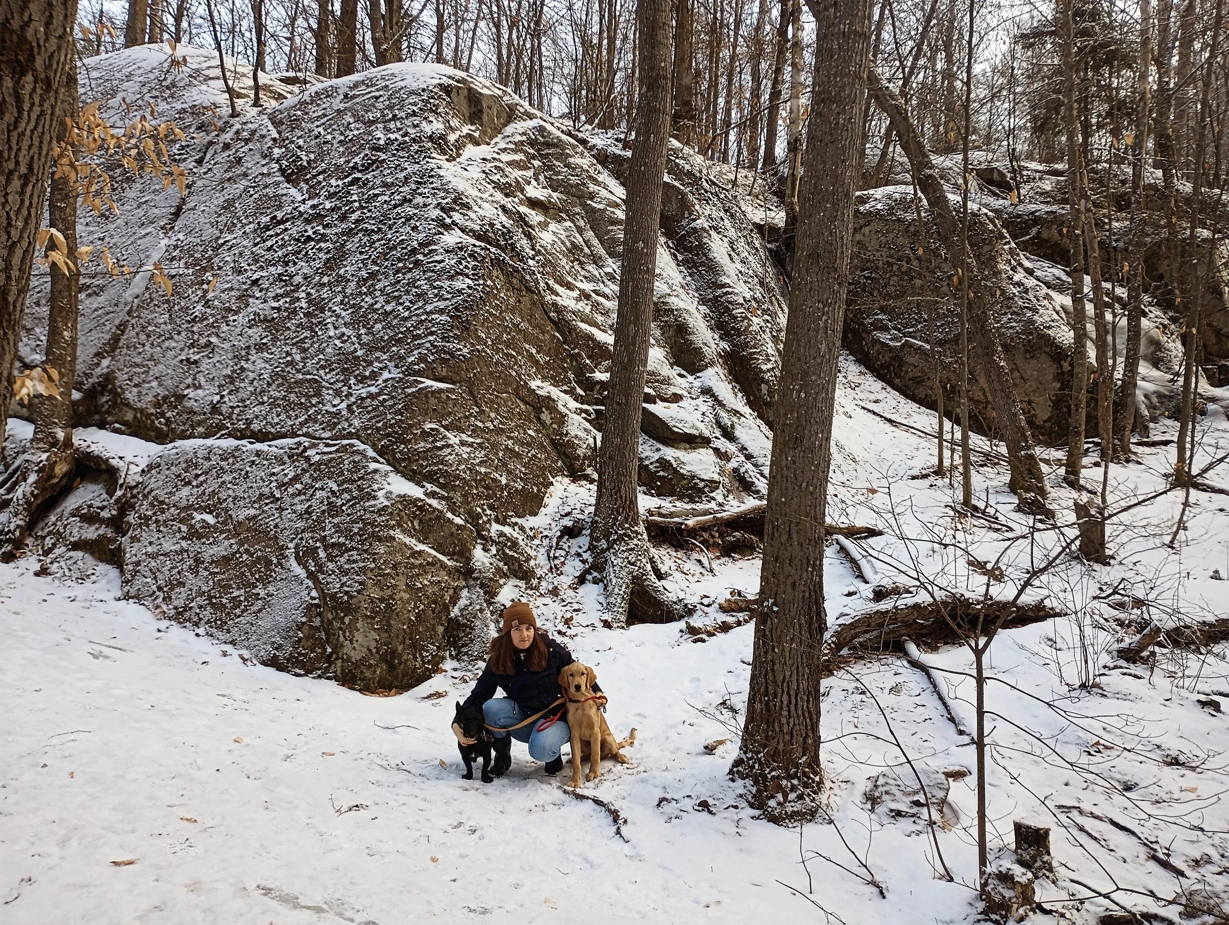 A woman crouching in the snow with two dogs near large rocks and trees in a winter forest.