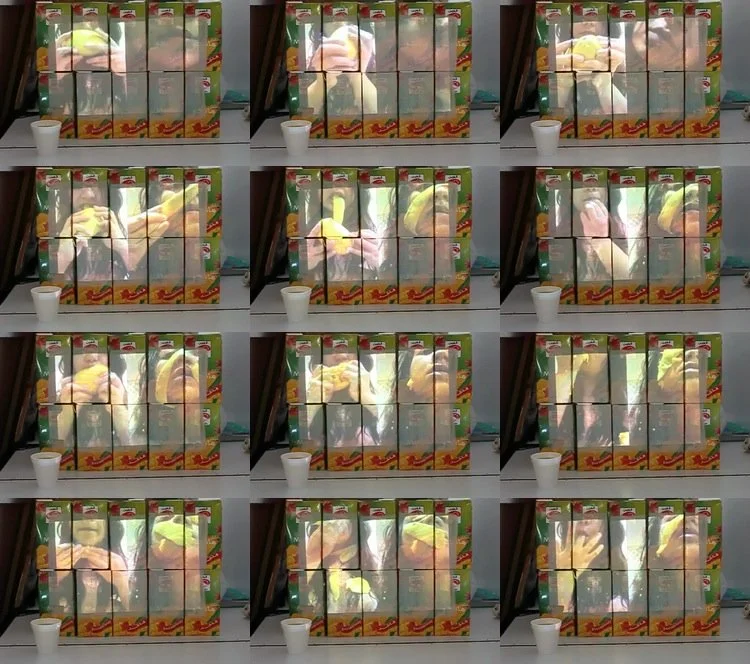 mangoporjection.jpg