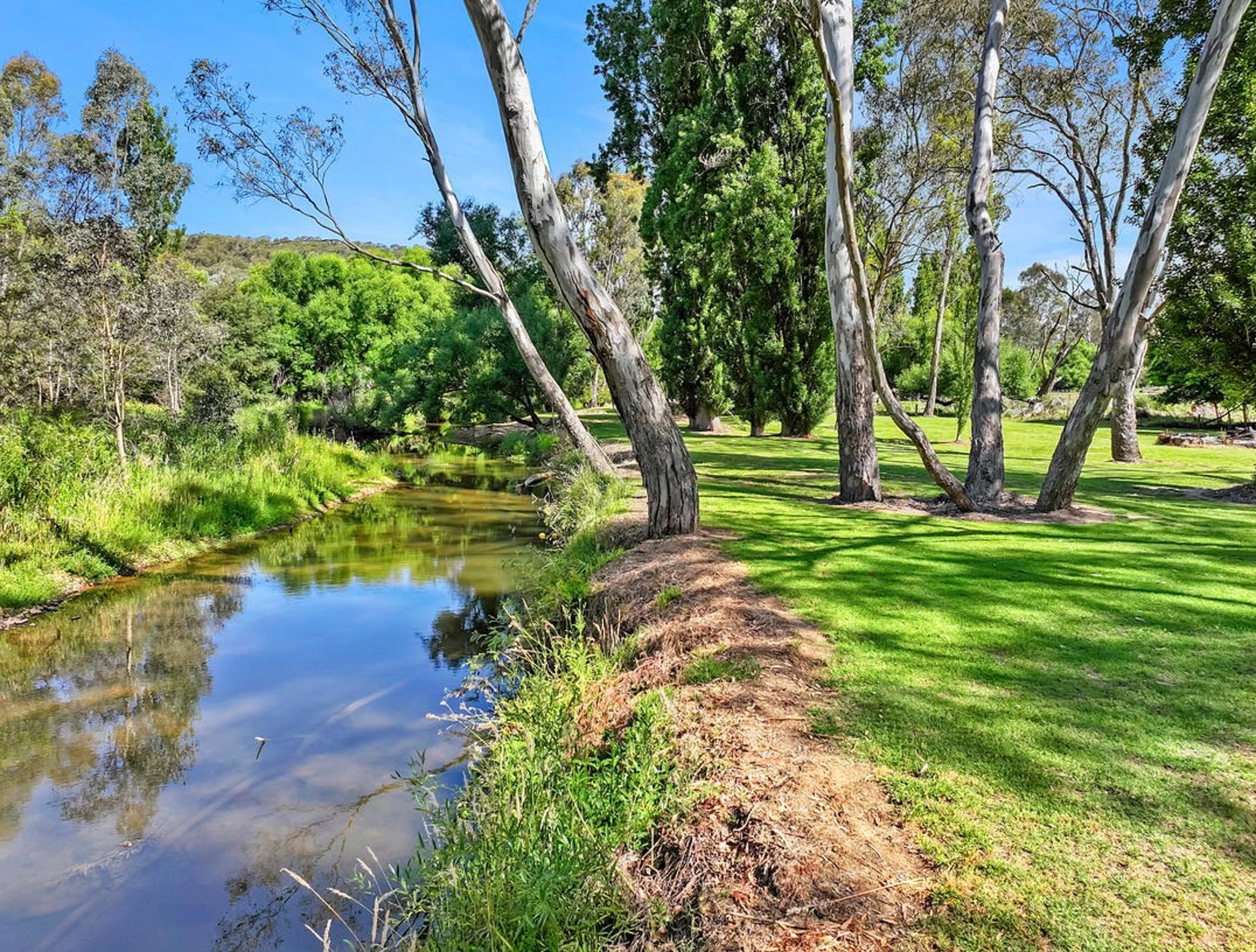 A lush green park with tall trees, a small stream, and well-maintained grass on a sunny day.