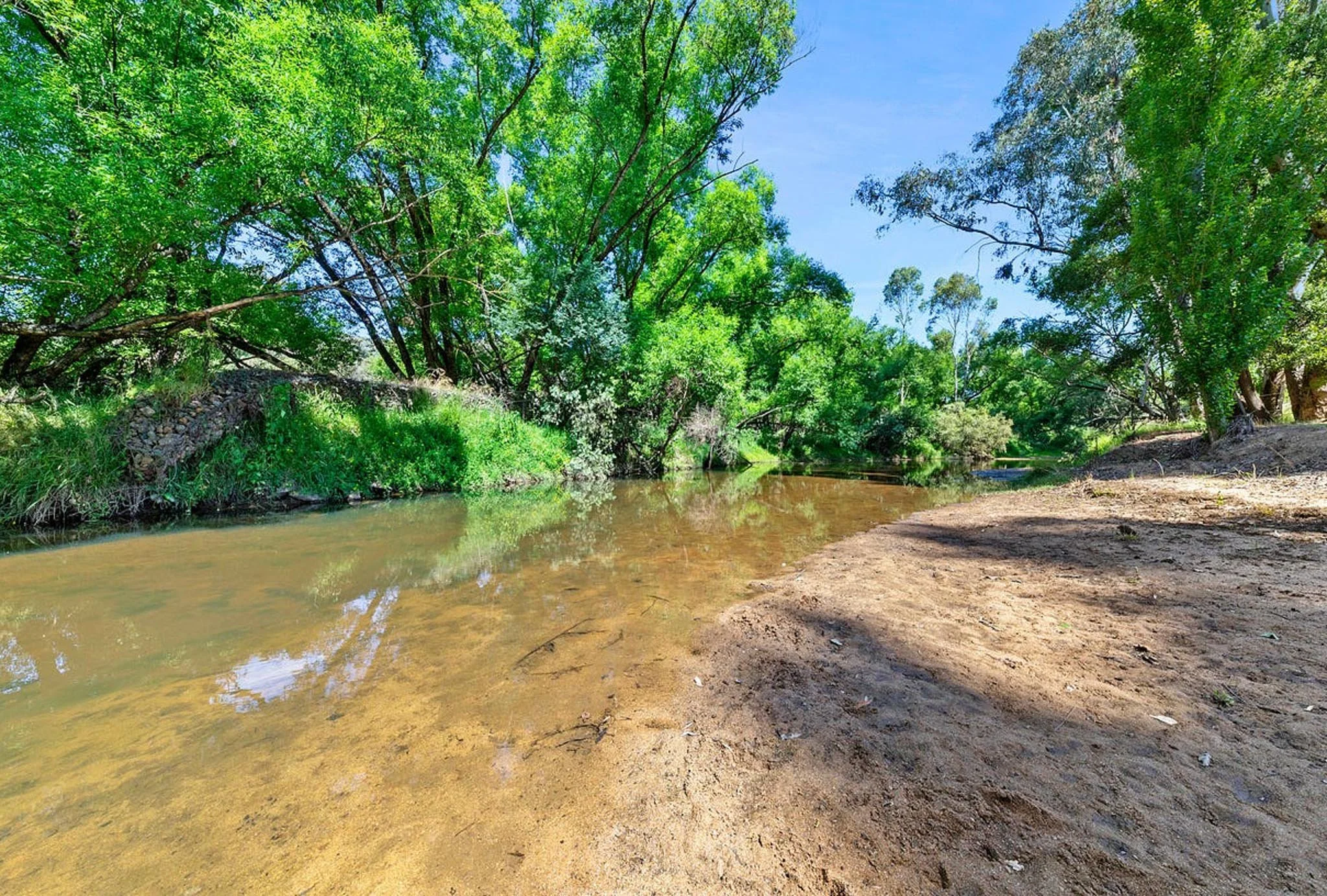 A peaceful river scene with clear water and sandy banks, surrounded by lush green trees under a blue sky.
