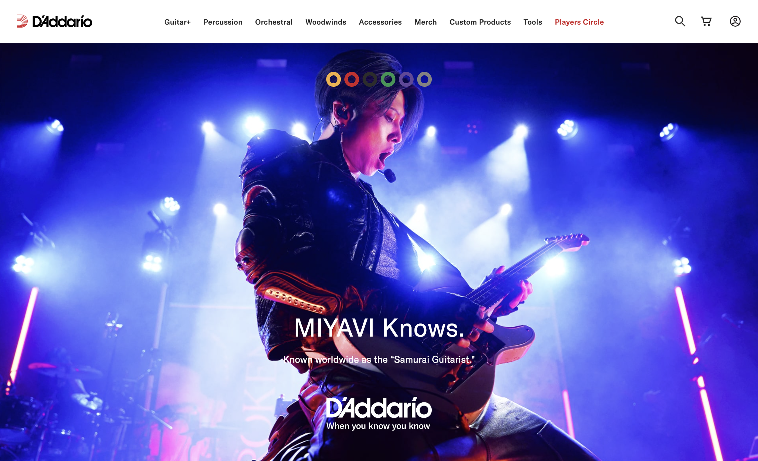 Musician