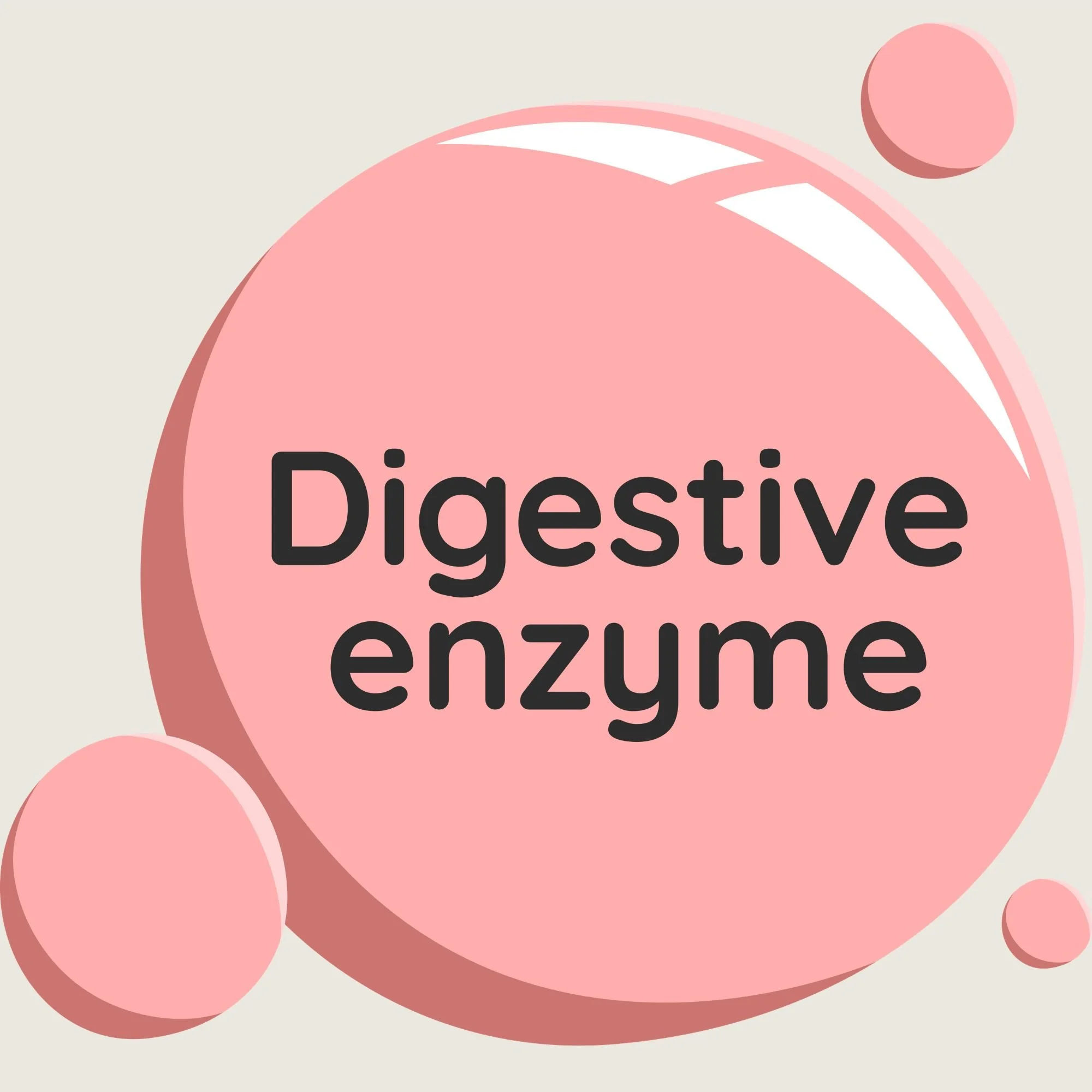 Illustration montrant une bulle rose avec l'inscription 'Digestive enzyme'. À droite, le texte explique que le système digestif ralentit en préménopause et qu'il est important de le protéger.