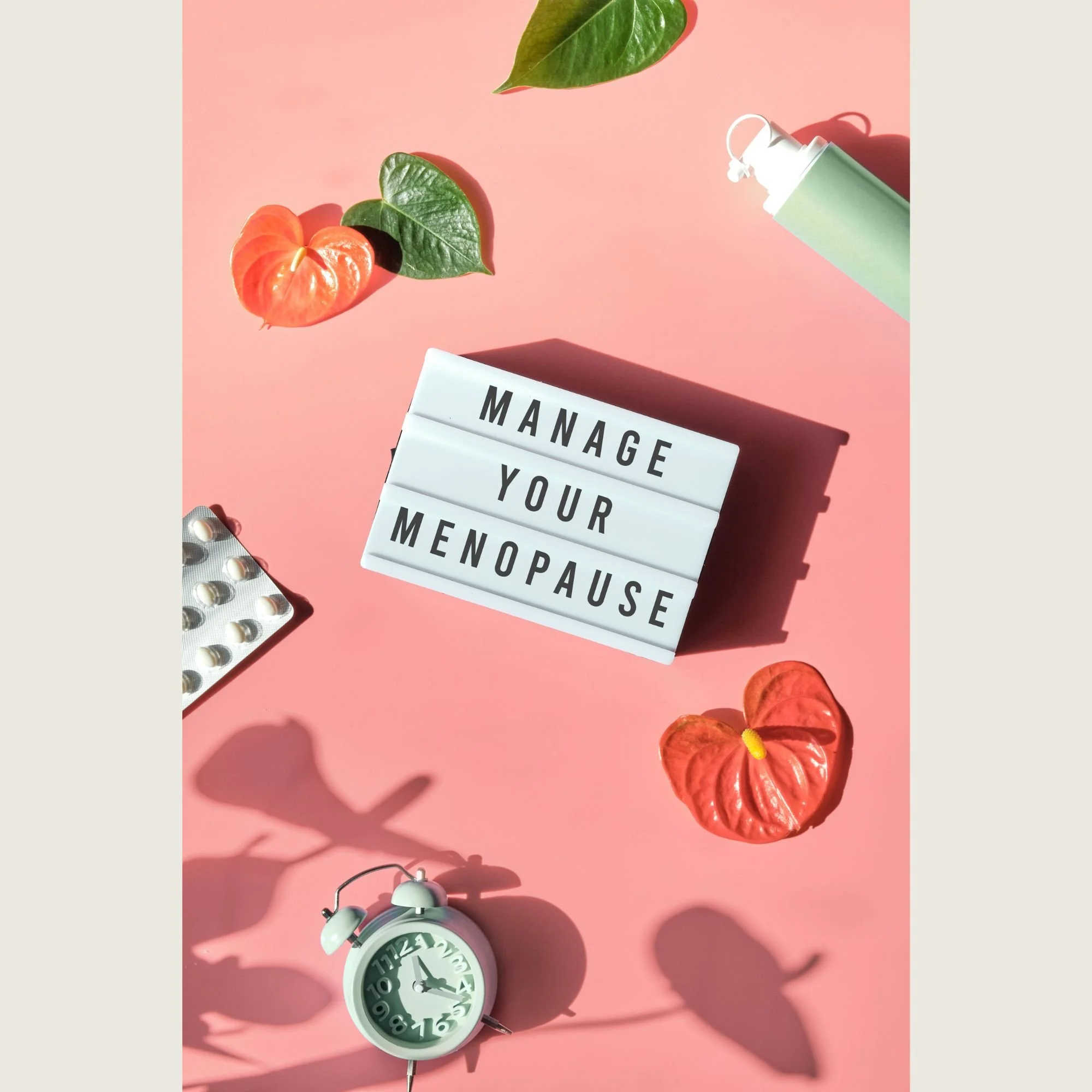 Vue de dessus sur un fond rose montrant une petite boîte lumineuse avec le texte 'MANAGE YOUR MENOPAUSE', entourée d'un réveil vert, de fleurs rouges et de feuilles vertes.