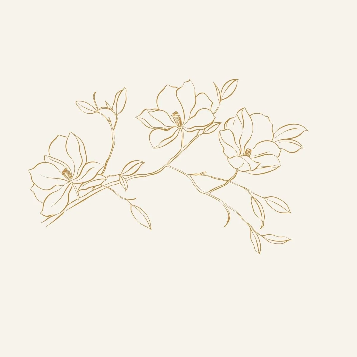 Il est important de bien connaître notre corps et ses transformations en temps de ménopause, et je suis là, pour vous accompagner ou en parler entre nous en ligne Occitanie, France, Belgique, Suisse, Canada