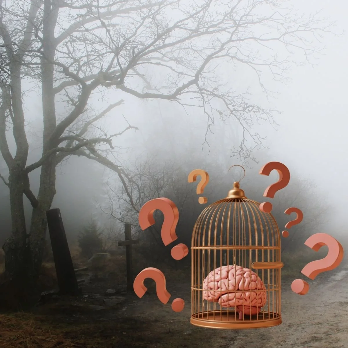 Image d'une forêt dans la brume avec une cage dorée et un cerveau dedans et 6 points d'interrogation autour