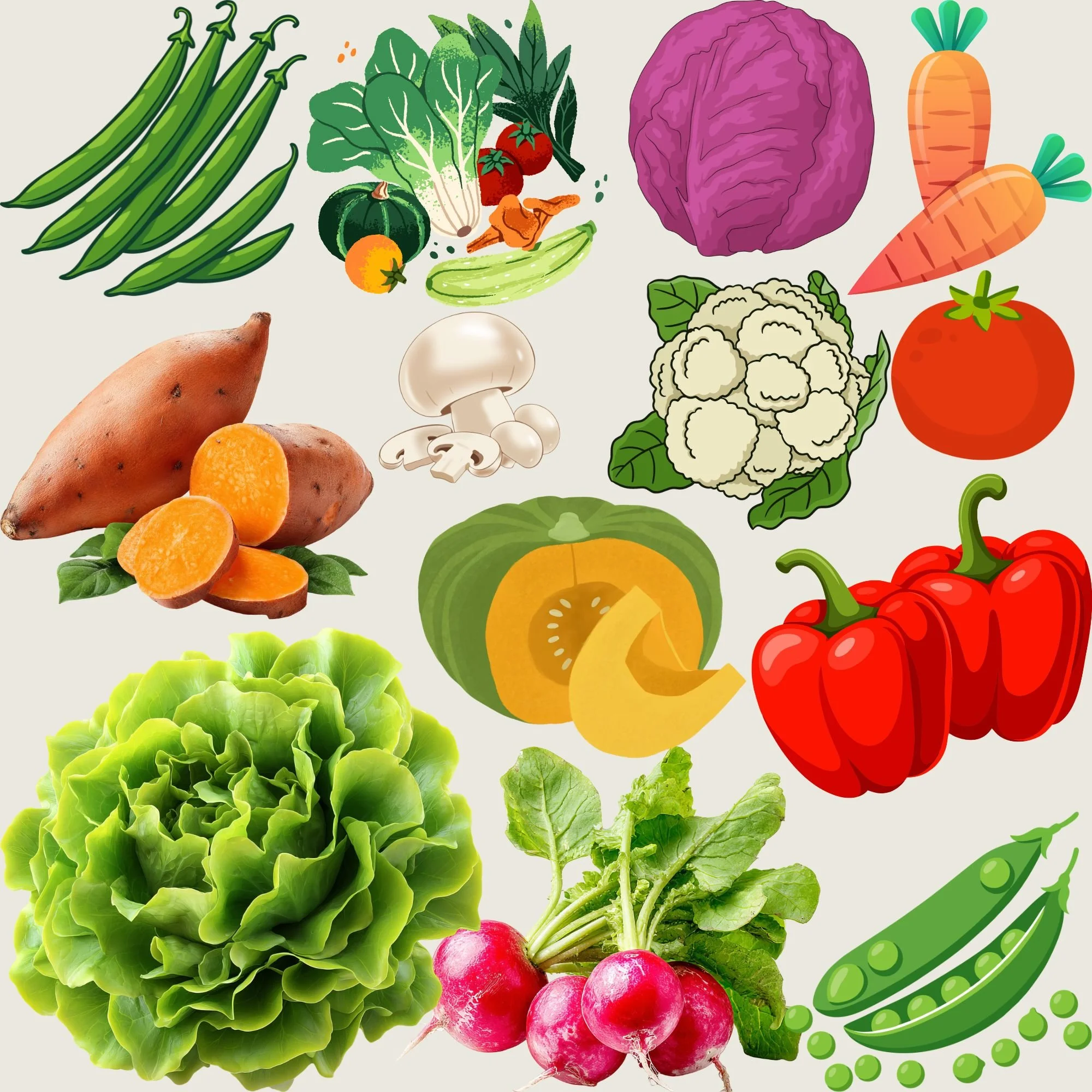 Illustration avec des petits pois, chou rouge, carottes, patates douces, champignons, choux-fleurs, tomates, courge, poivrons, salade verte, radis.