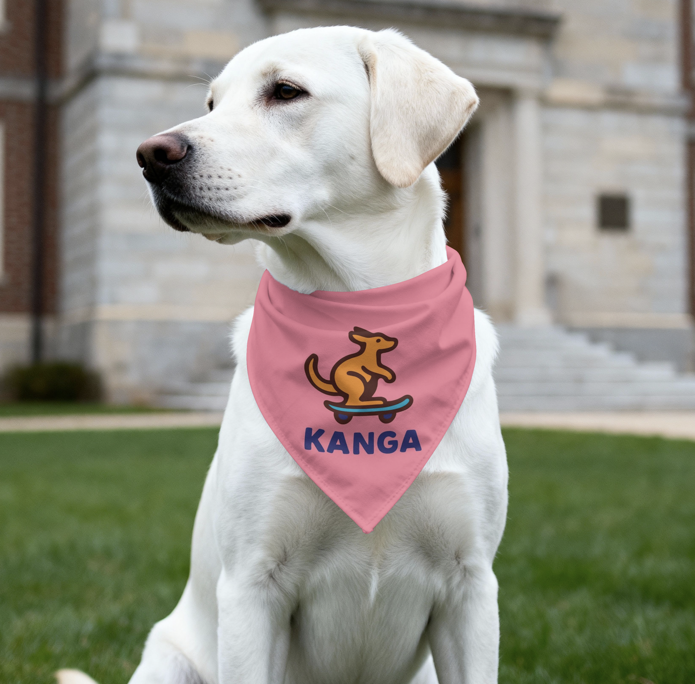 Screenshot 2026-01-14 at 1.21.36 PM.png