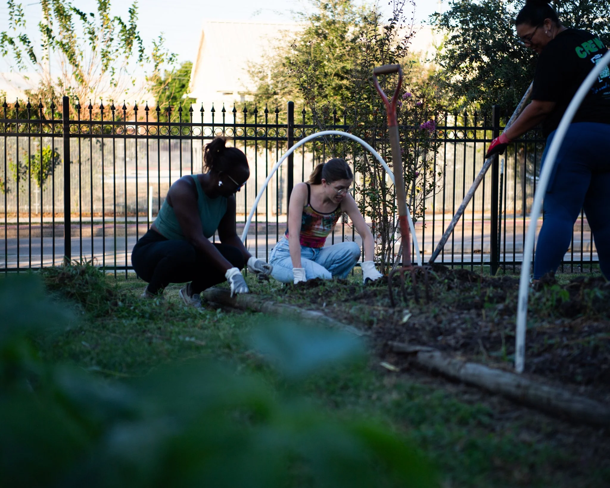 Three women planting a garden, working with soil and tools, outdoors at the TSU Community Farm