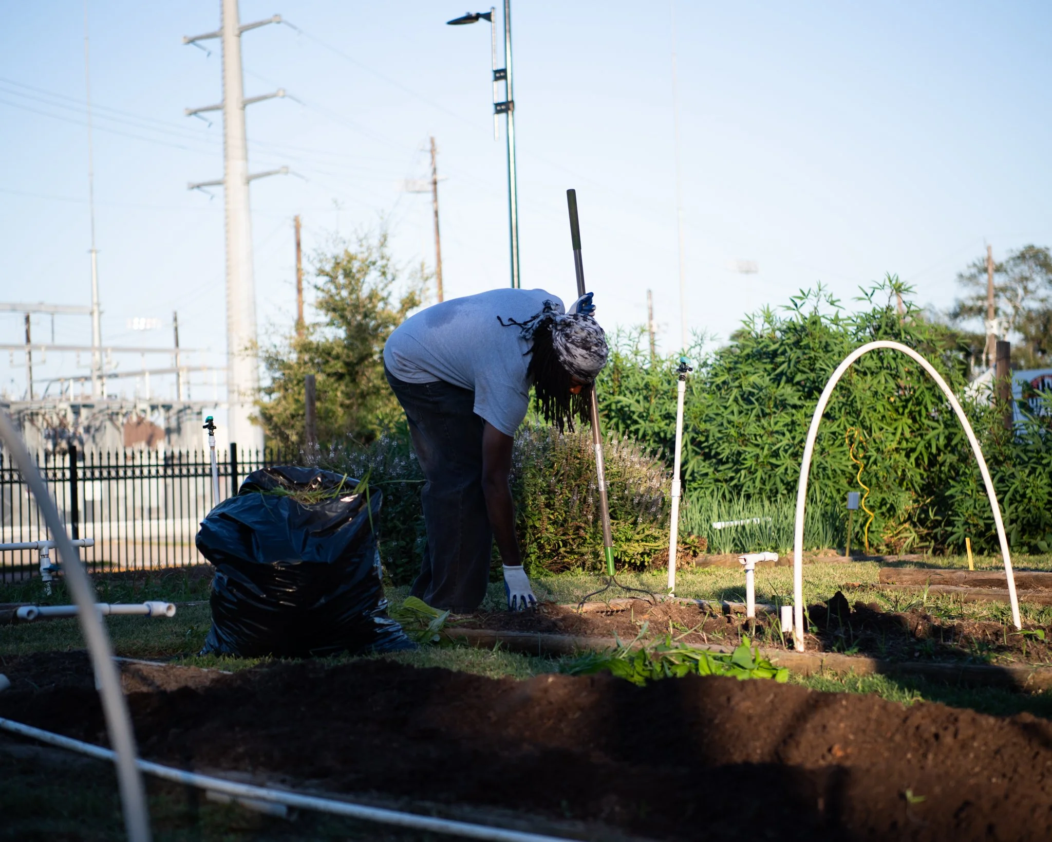 A person in a gray shirt and black pants gardening outdoors, tending to plants in a garden bed with hoses and irrigation pipes visible, with power lines and a fence in the background on a clear day.