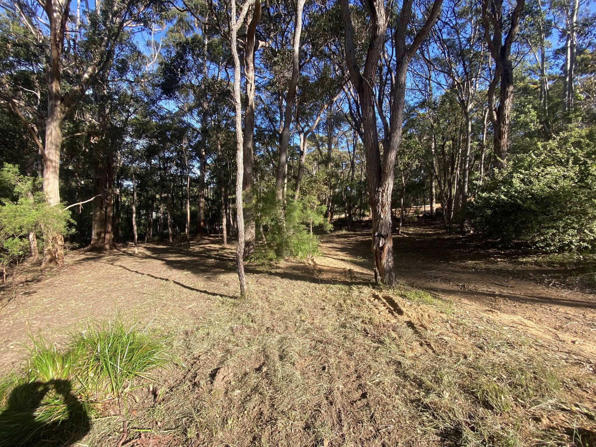 574565979_1293688702772766_993346886413818806_n.jpg