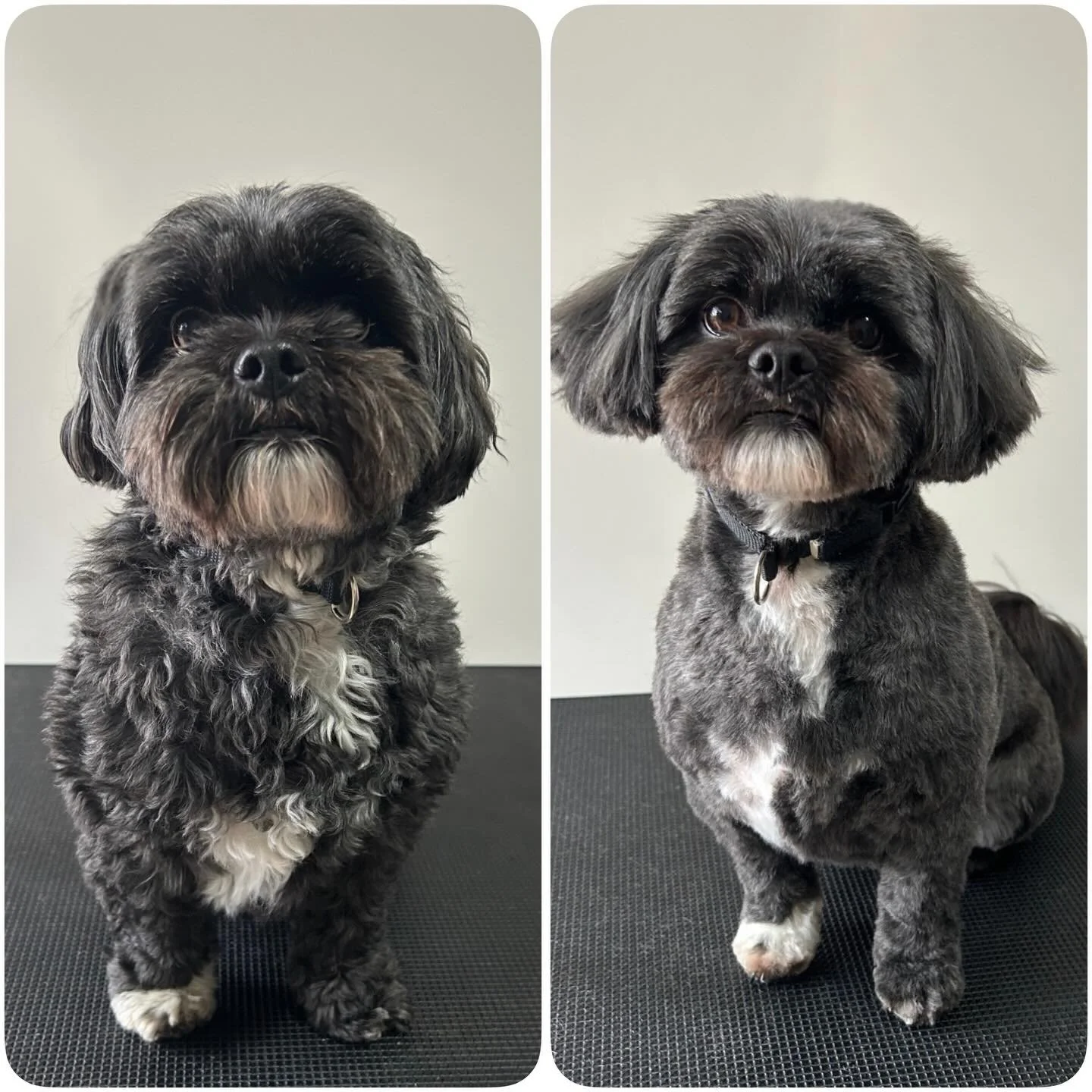 P E P P E R O N I 🎄