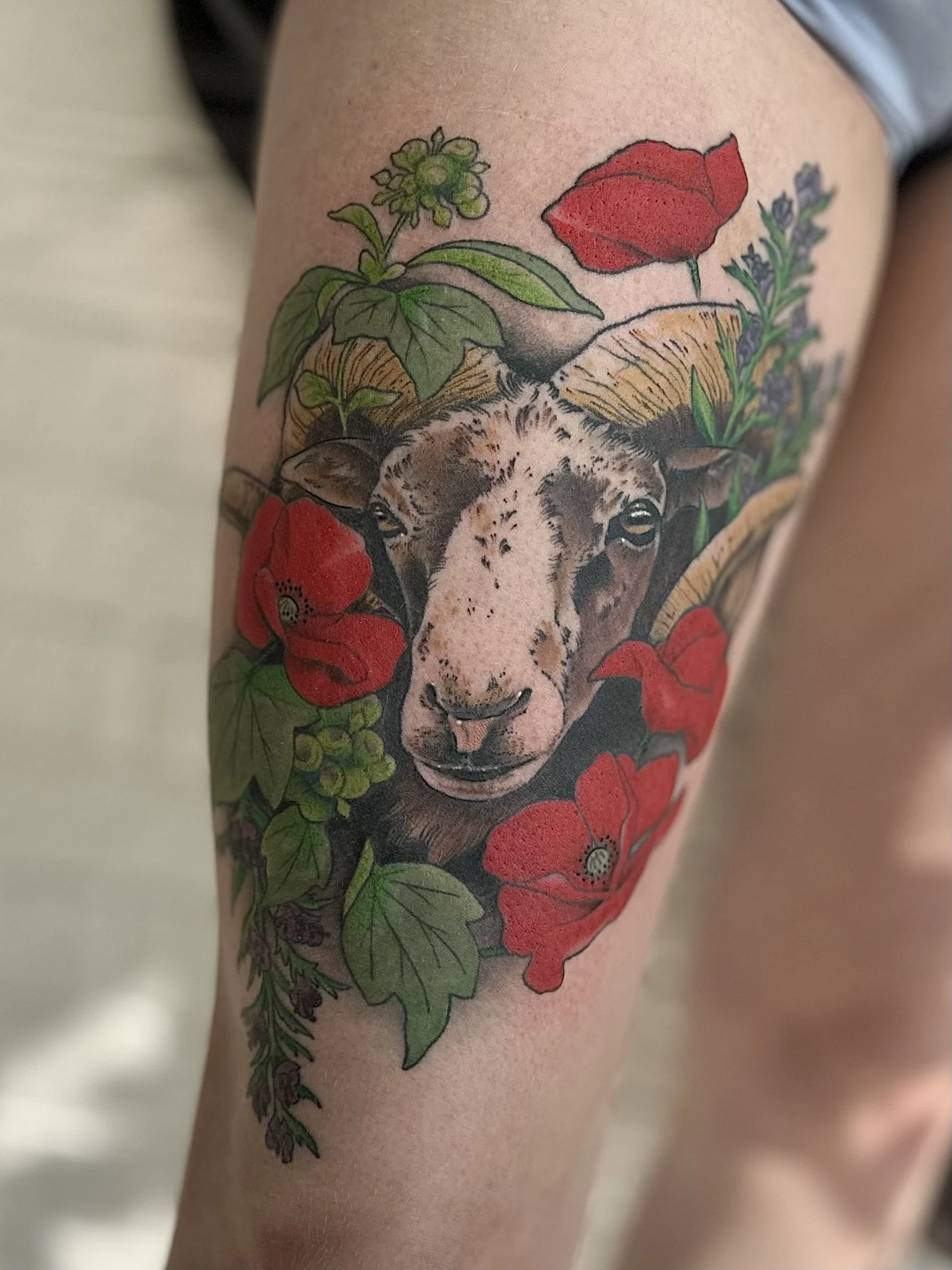 Tatuering av en gotlandsbagge omringad av vallmo blommor och gröna blad. Murgröna och blåeld. Gotland Visby