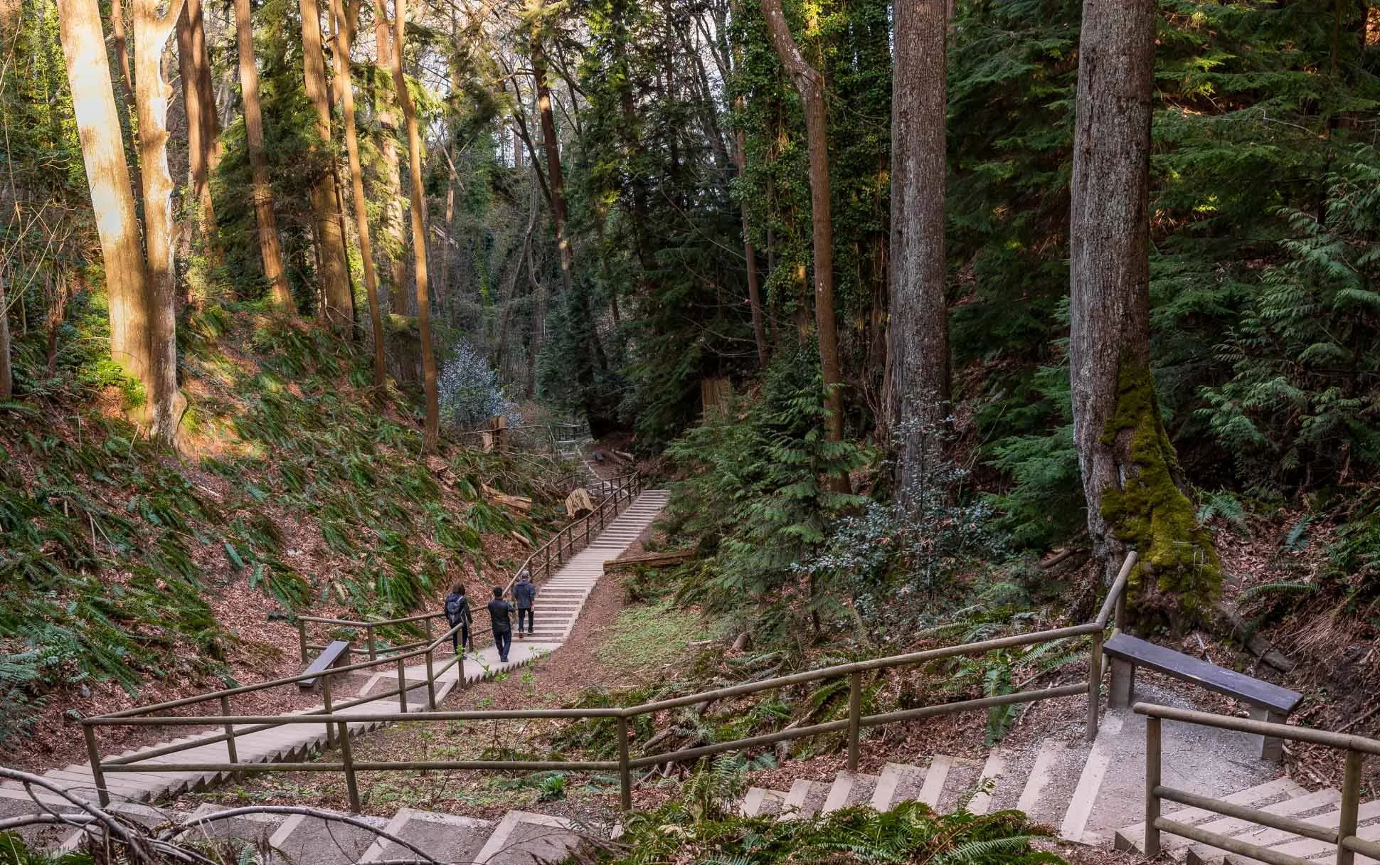 https://visit.ubc.ca/see-and-do/gardens-and-nature/pacific-spirit-park/