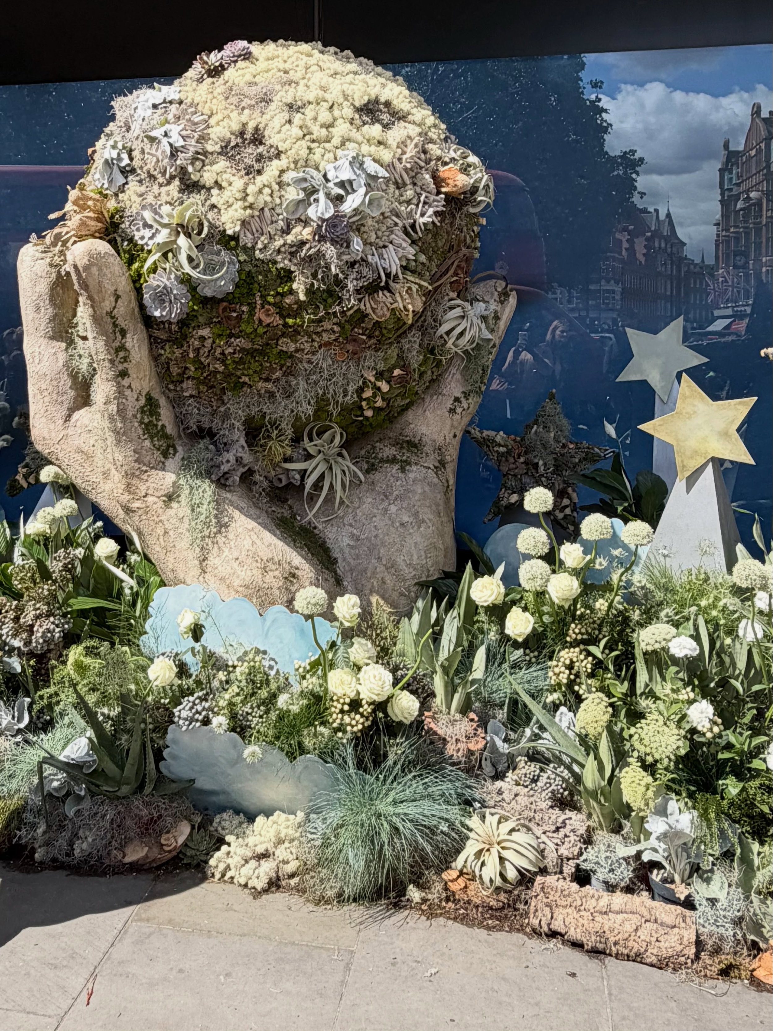 The flower displays at Chelsea in Bloom this year are &lsquo;Out of this World&rsquo; as always the flower show never disappoints - these are some of my favourites - but to be honest they where all amazing