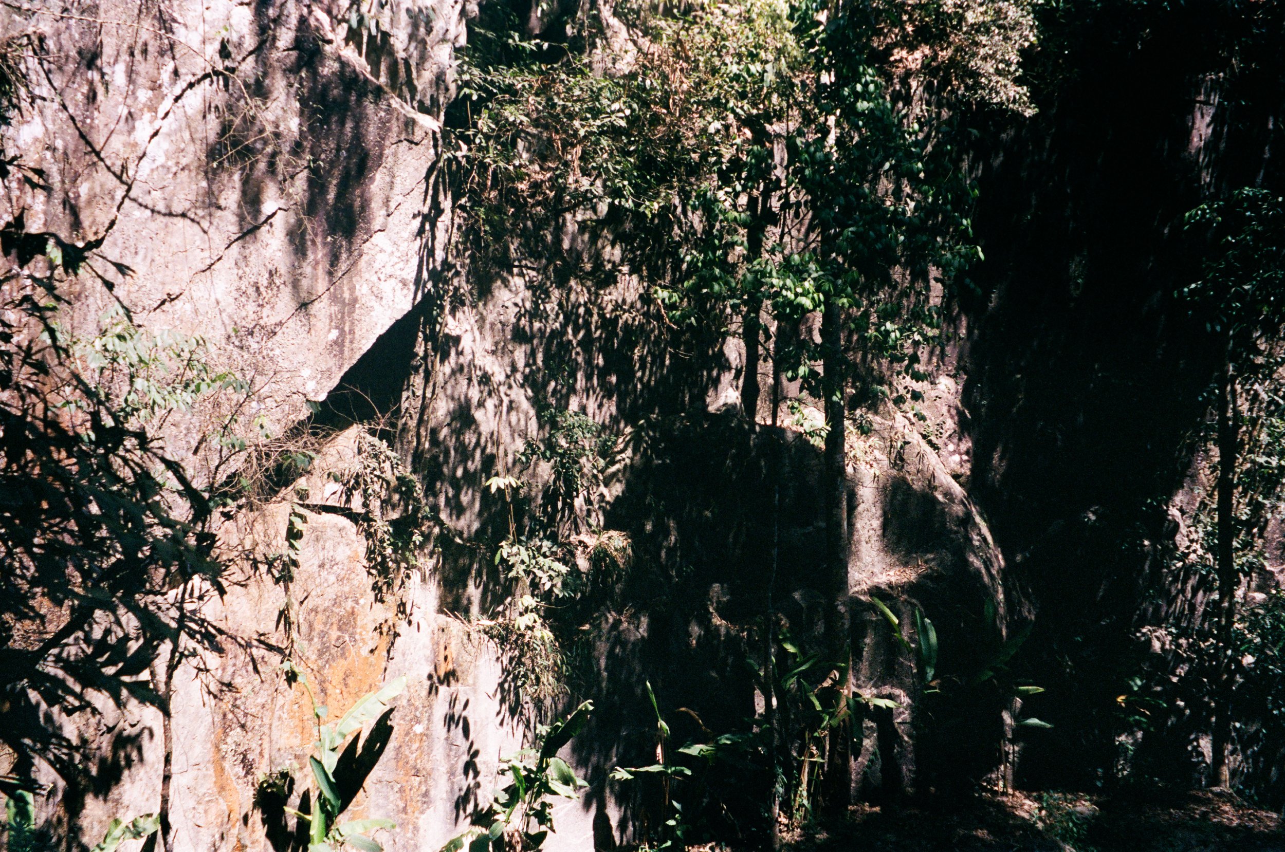 Da Lat Shadows.jpg