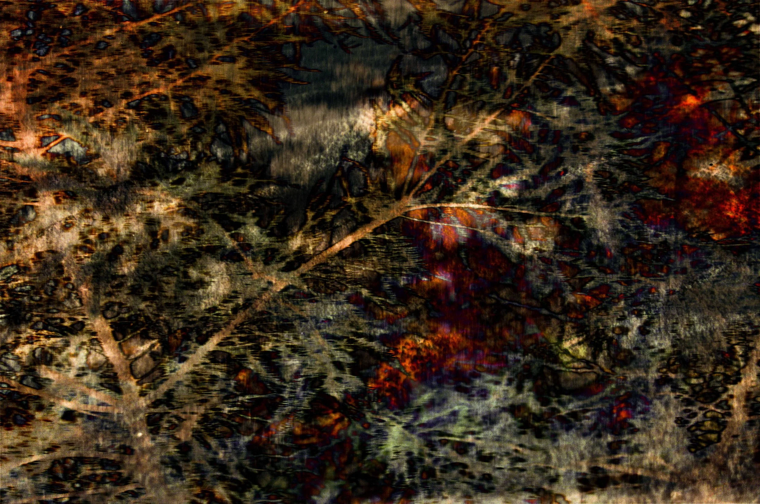 The Common Burn, 2026