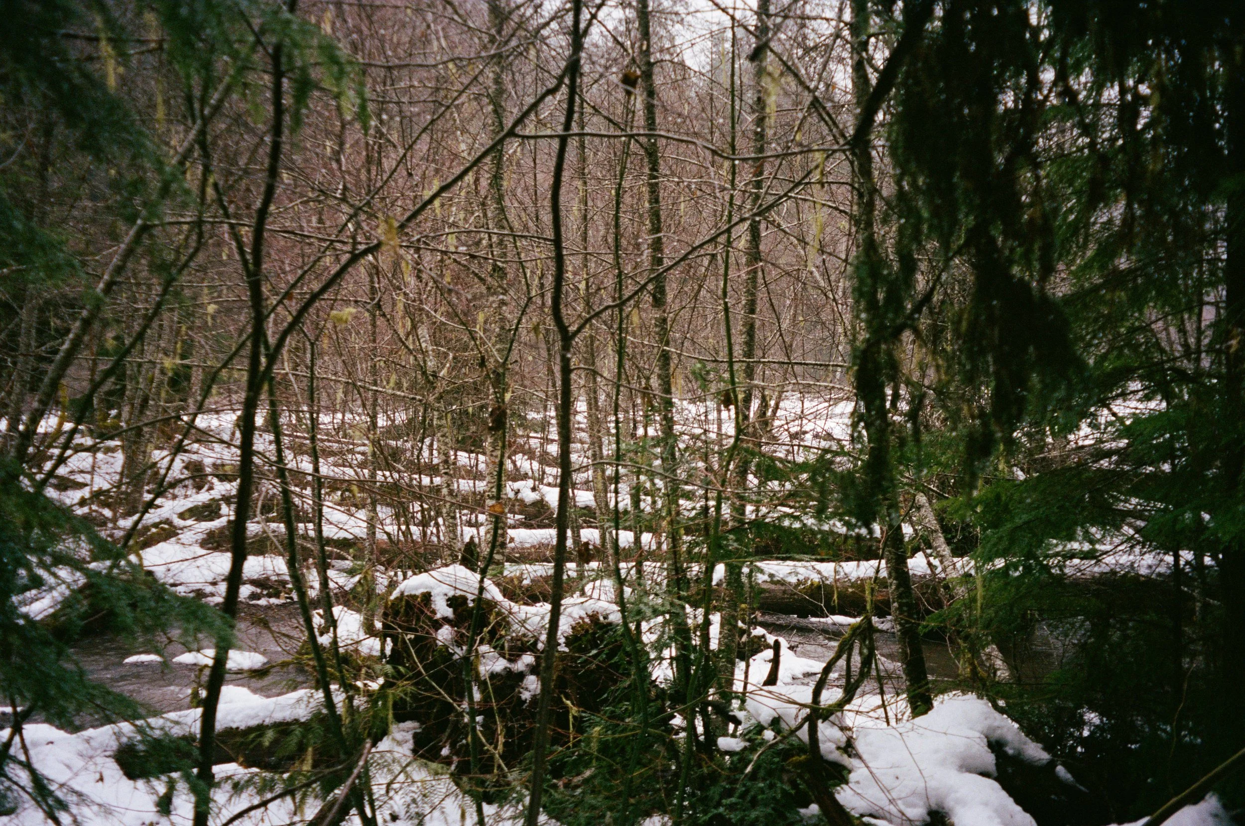 Rêvé pour l'hiver2.jpg