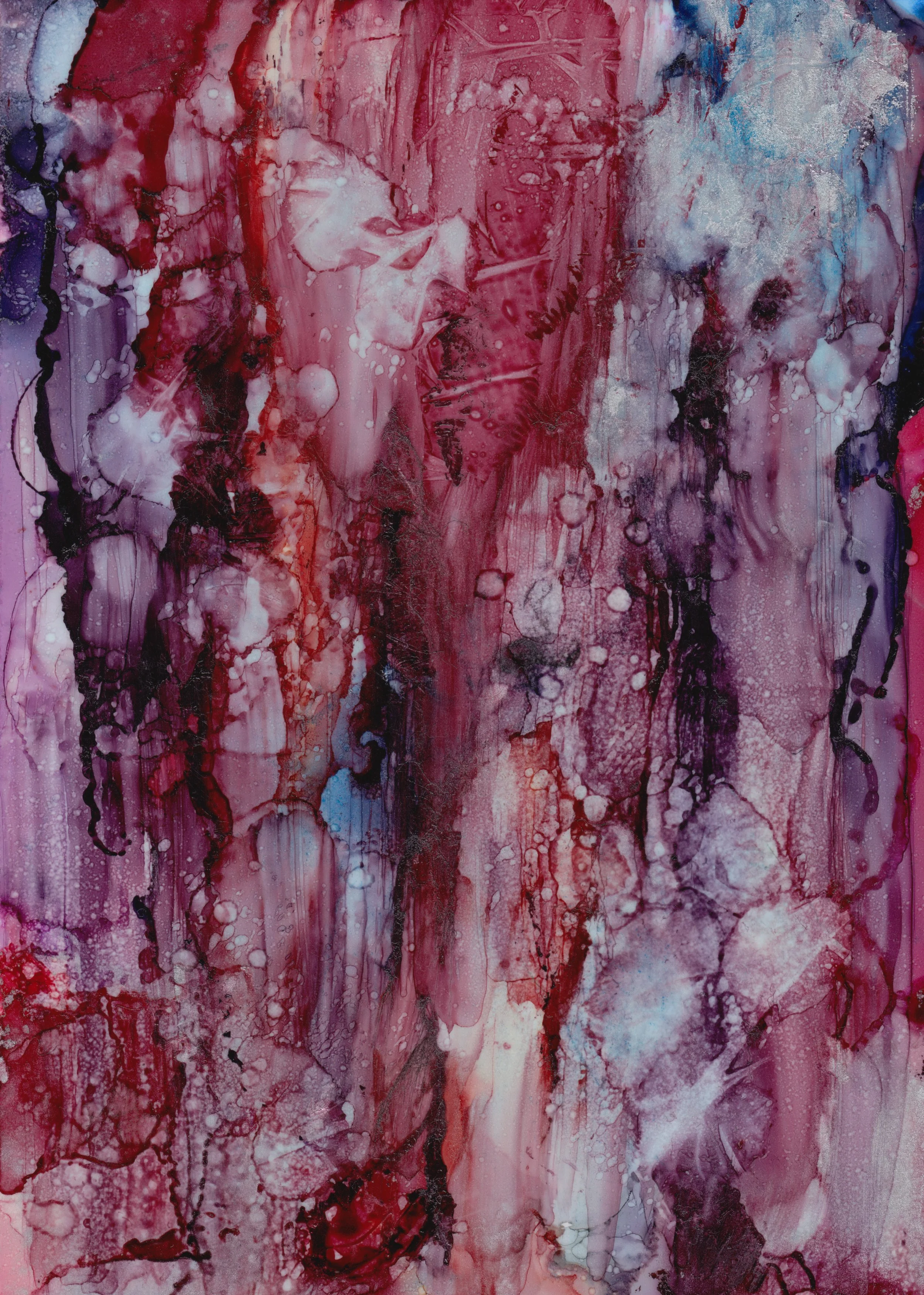 My Bleeding Heart, 2026

(alcohol ink on Yupo)