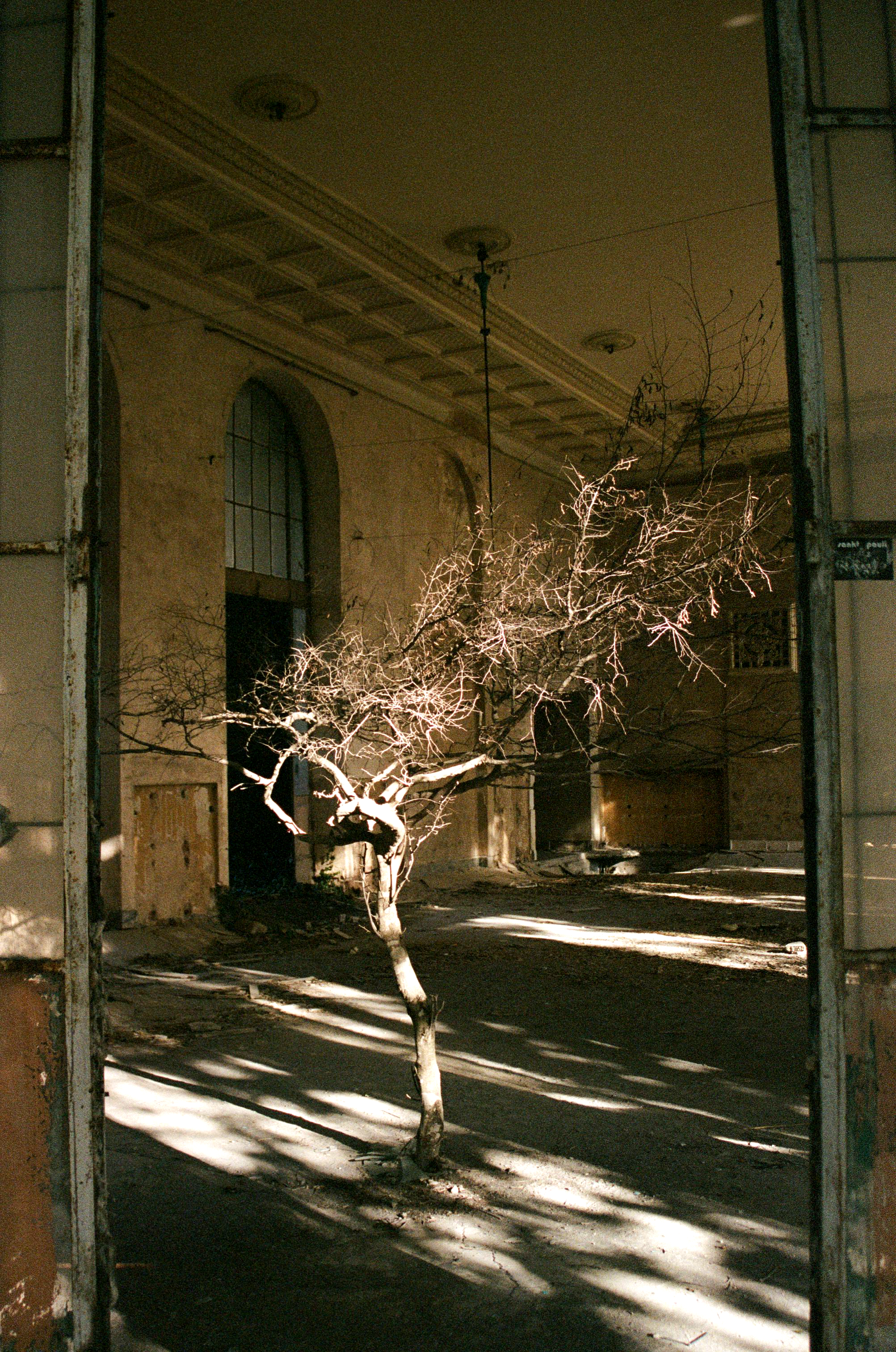 Tree in The Sanatorium Metallurgist.png