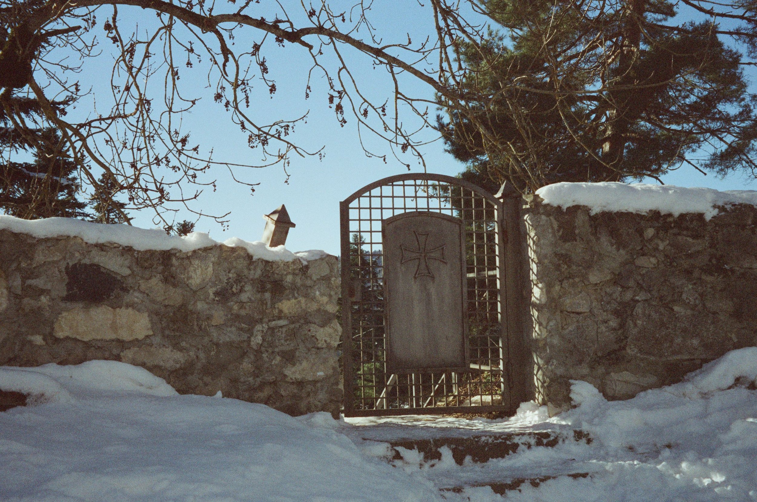 MagnoliaFilmLab361959.jpg