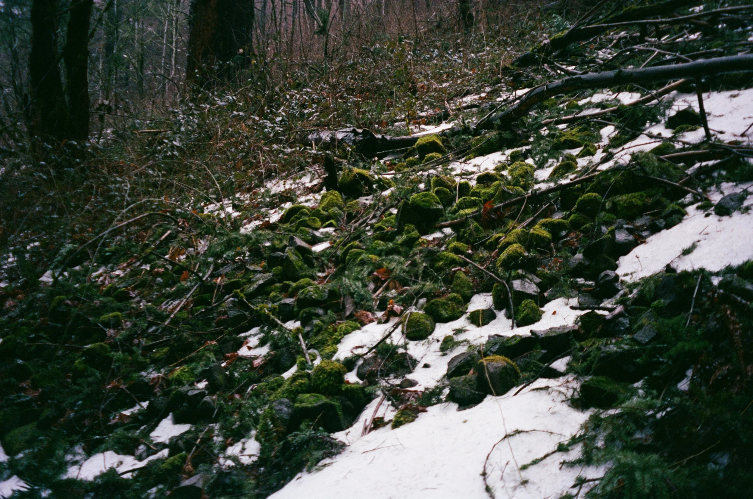 Rêvé pour l'hiver6.jpg