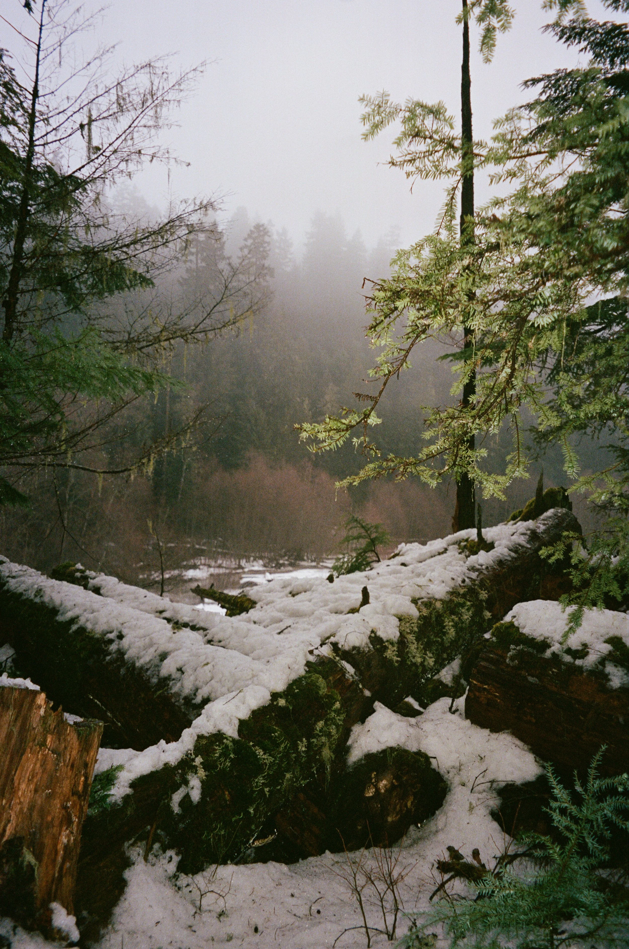 Rêvé pour l'hiver3.jpg
