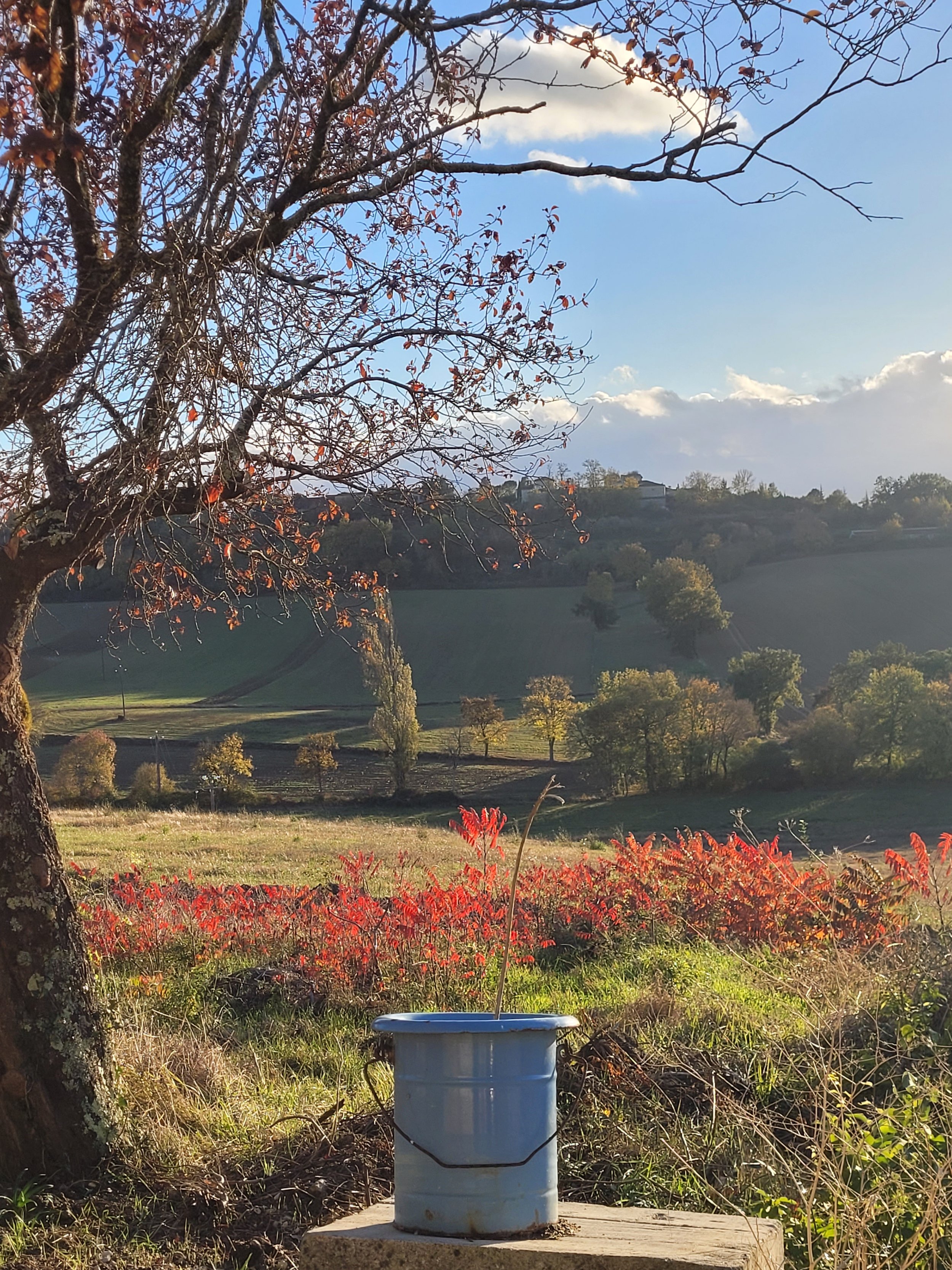 A scenic countryside view with rolling green hills, trees, and a mostly clear sky. In the foreground, there is a leafless tree and a white metal bucket placed on a concrete block.