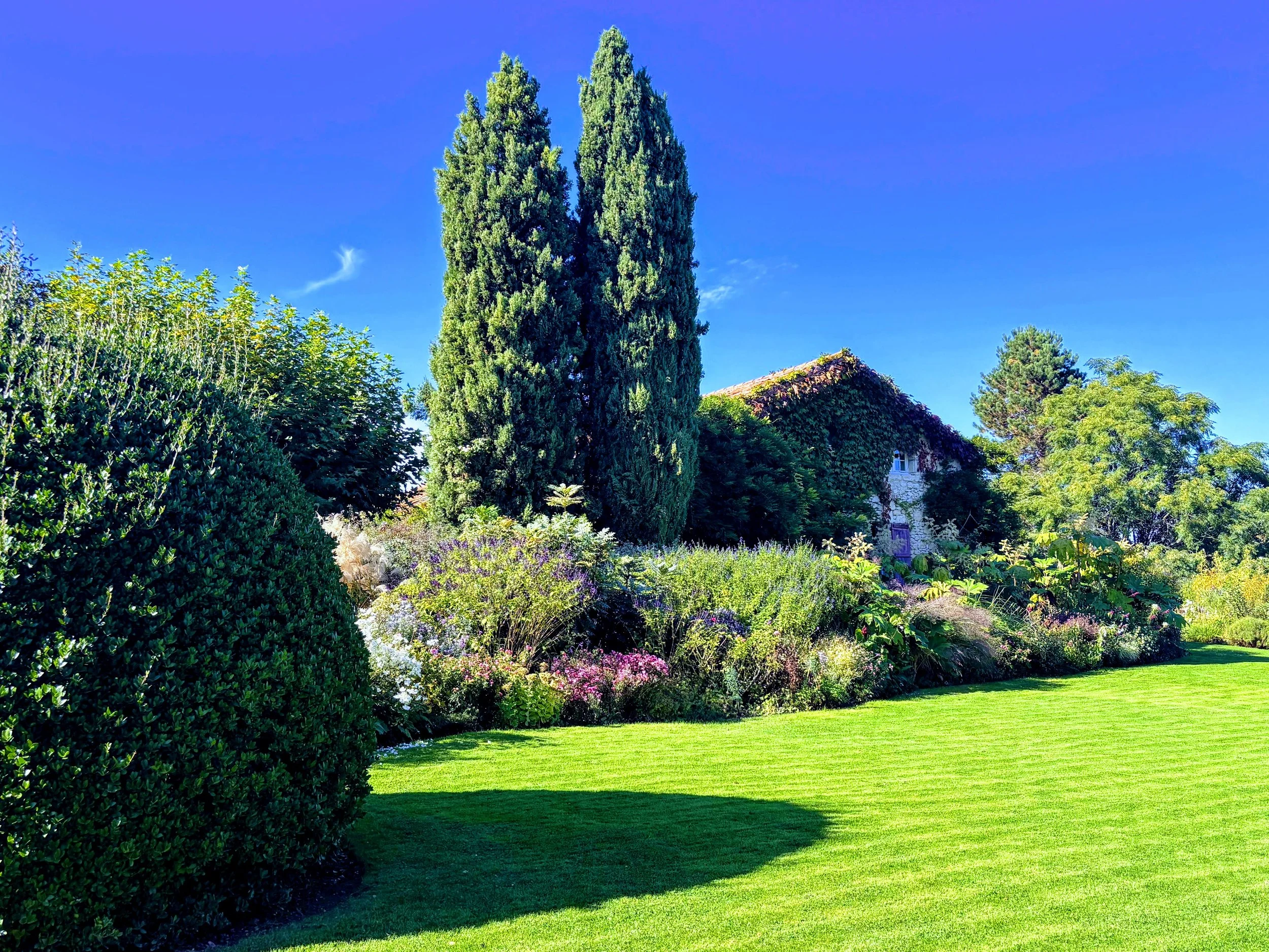 A lush garden with green grass, tall trees, flowering shrubs, and a house covered in vines under a clear blue sky.