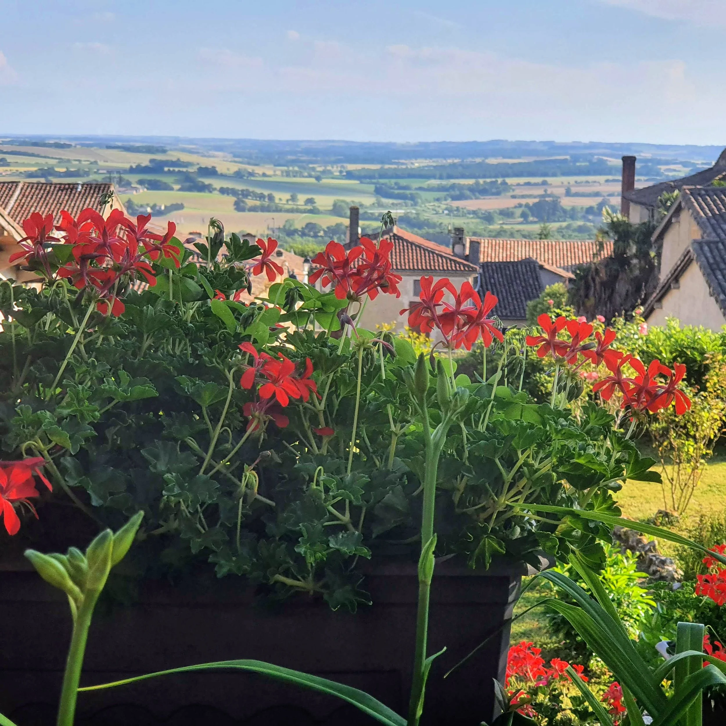Spectacular rural views from a restaurant in Gers' unofficial capital town, Lectoure.