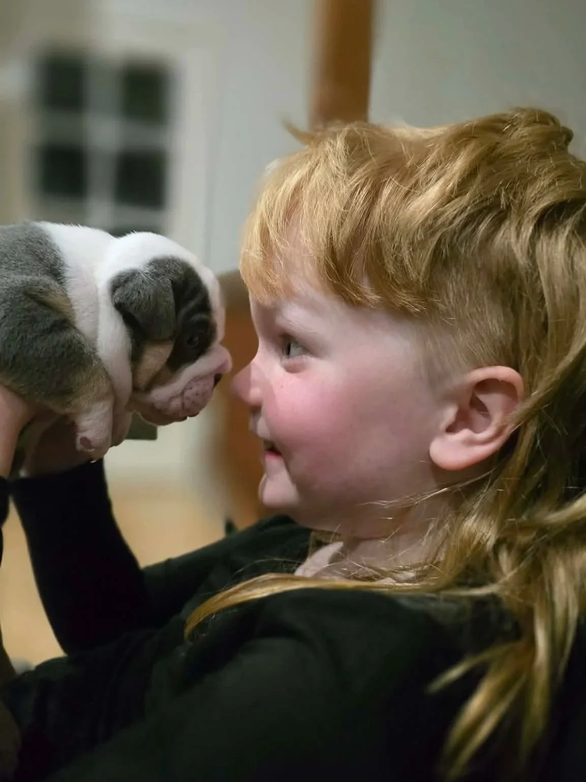 A young girl and a puppy are nose-to-nose, touching noses affectionately inside a home.