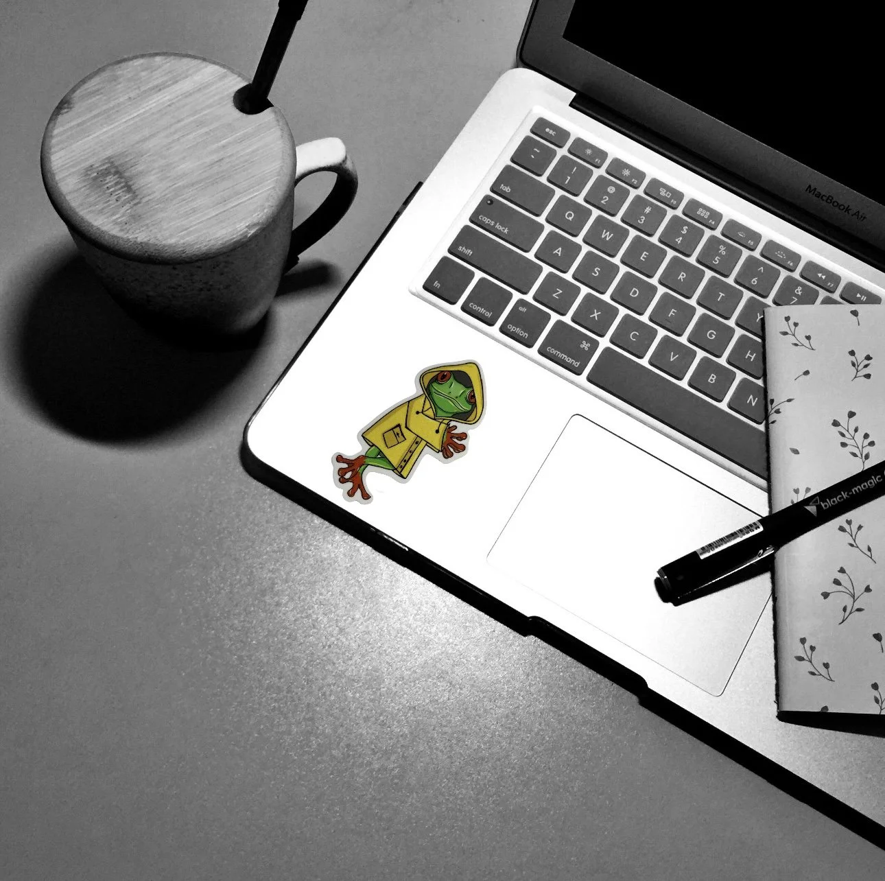 yellow frog laptop.jpg