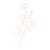 Line drawing of a flowering plant with multiple blossoms and leaves